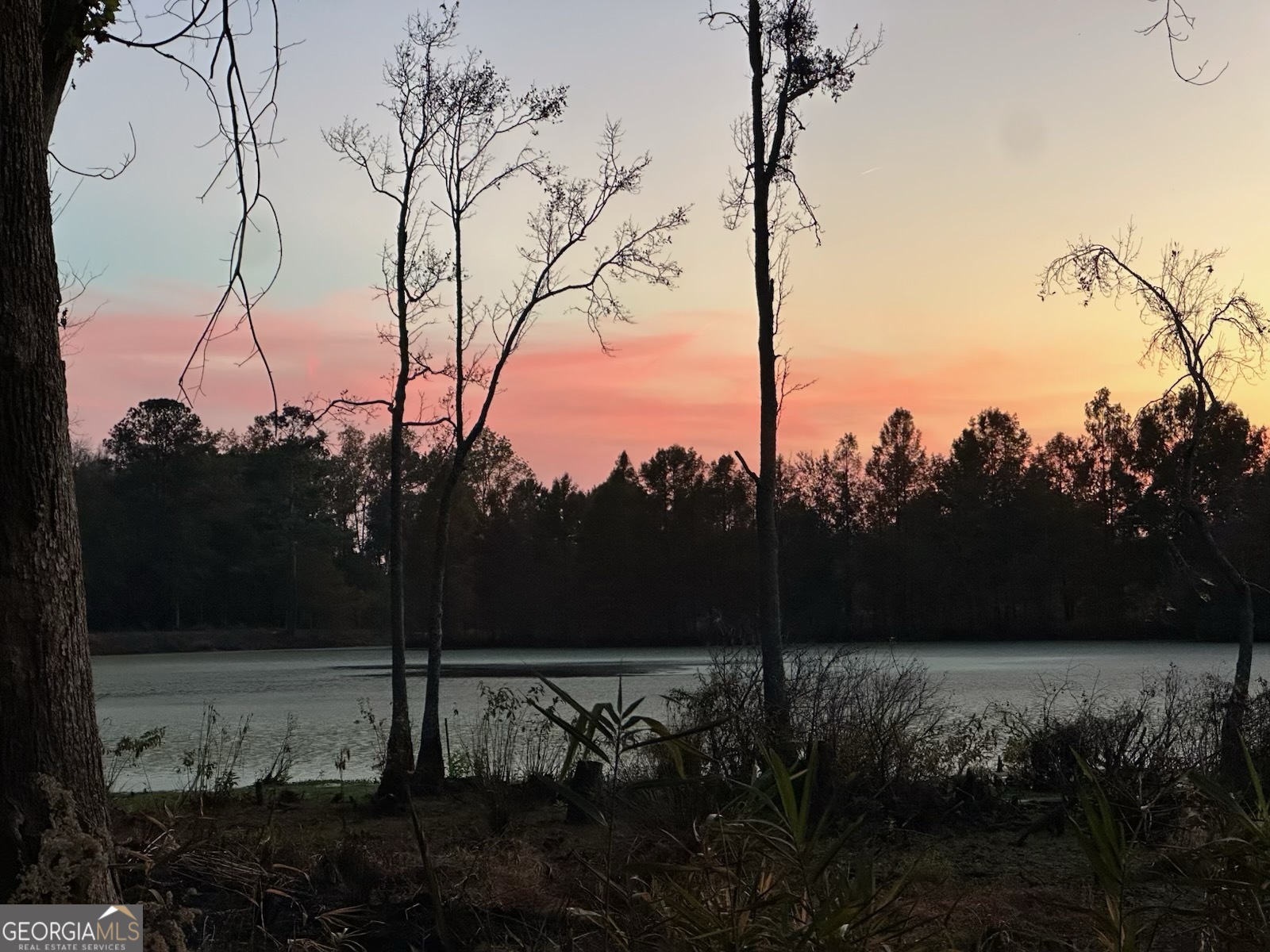 1238 Brooklet South Drive