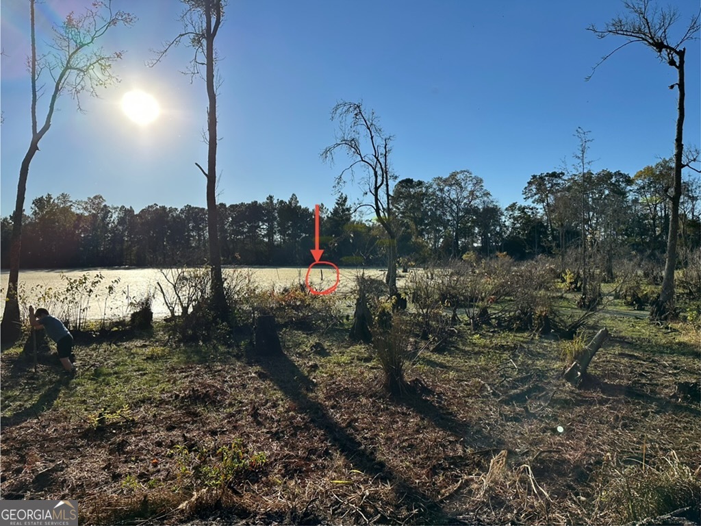 1238 Brooklet South Drive