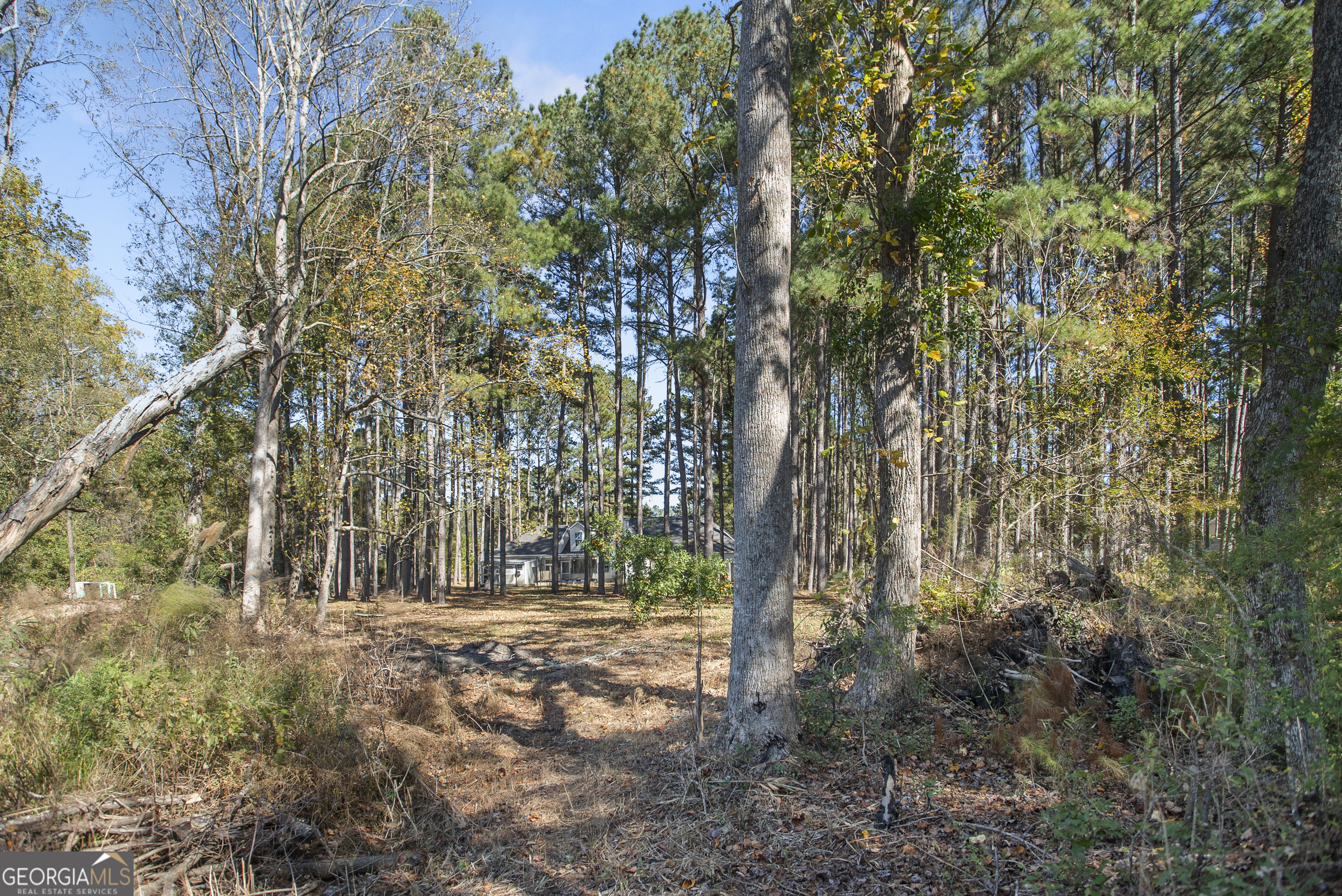 1238 Brooklet South Drive