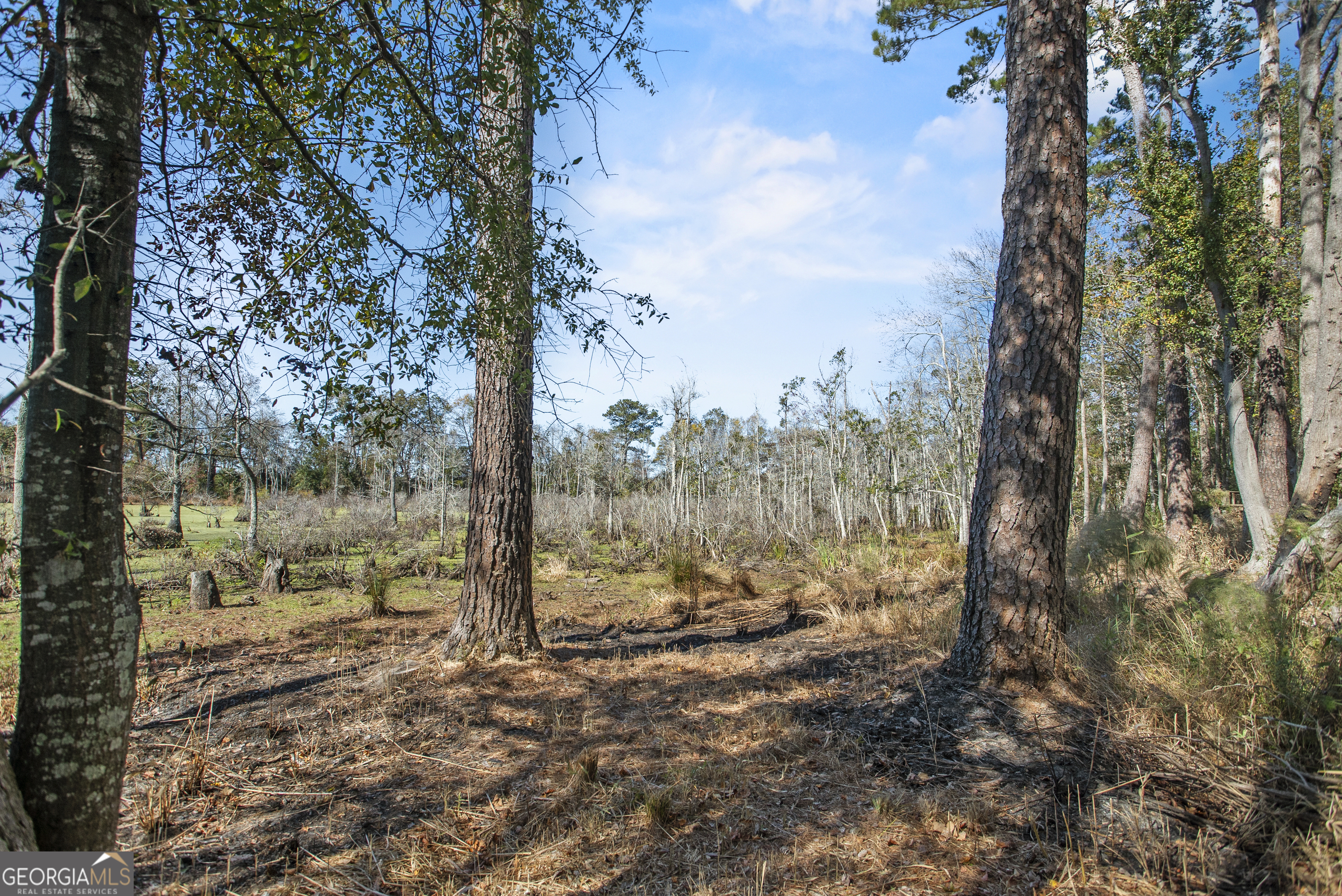 1238 Brooklet South Drive