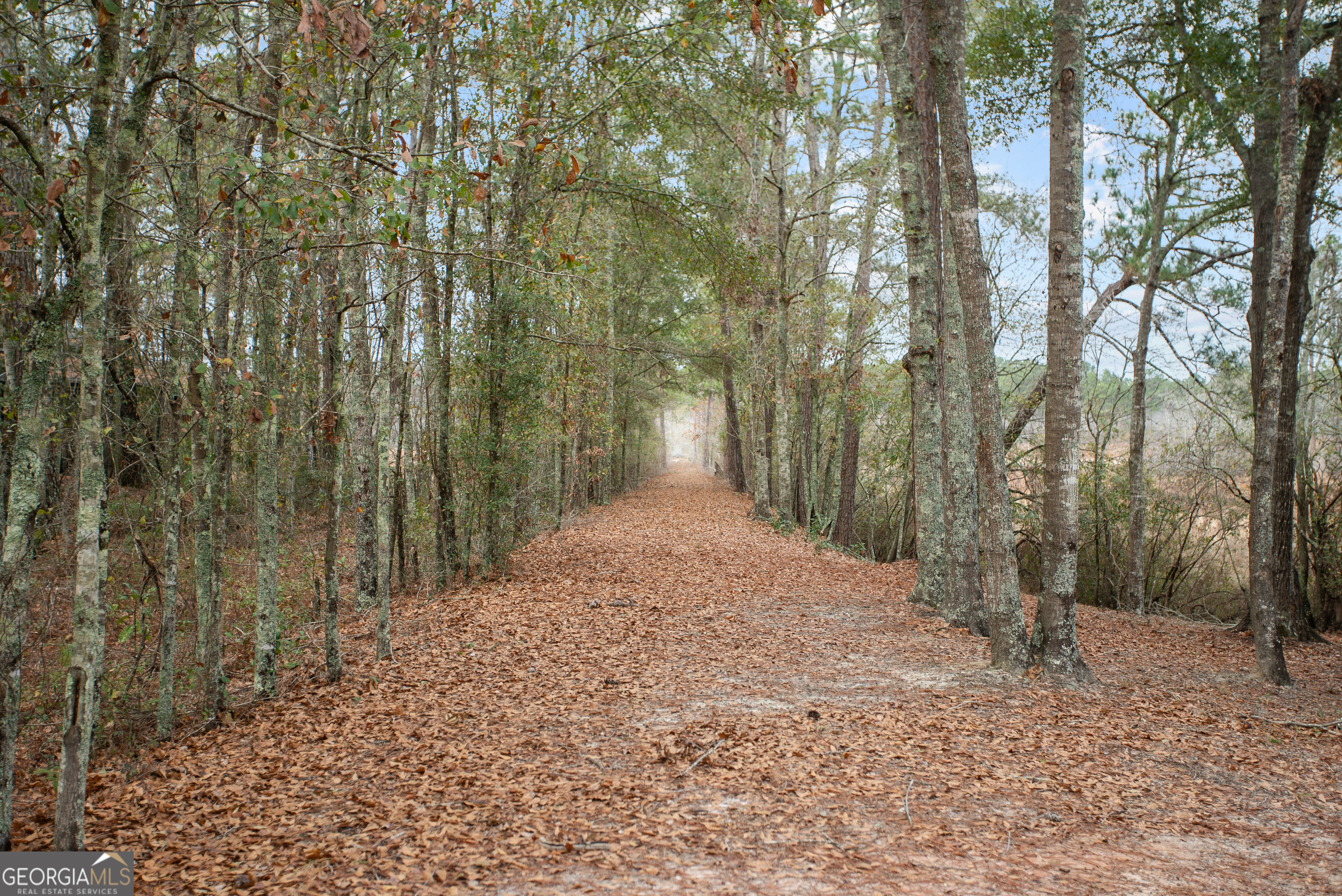 418 Oglesby Pond Lane