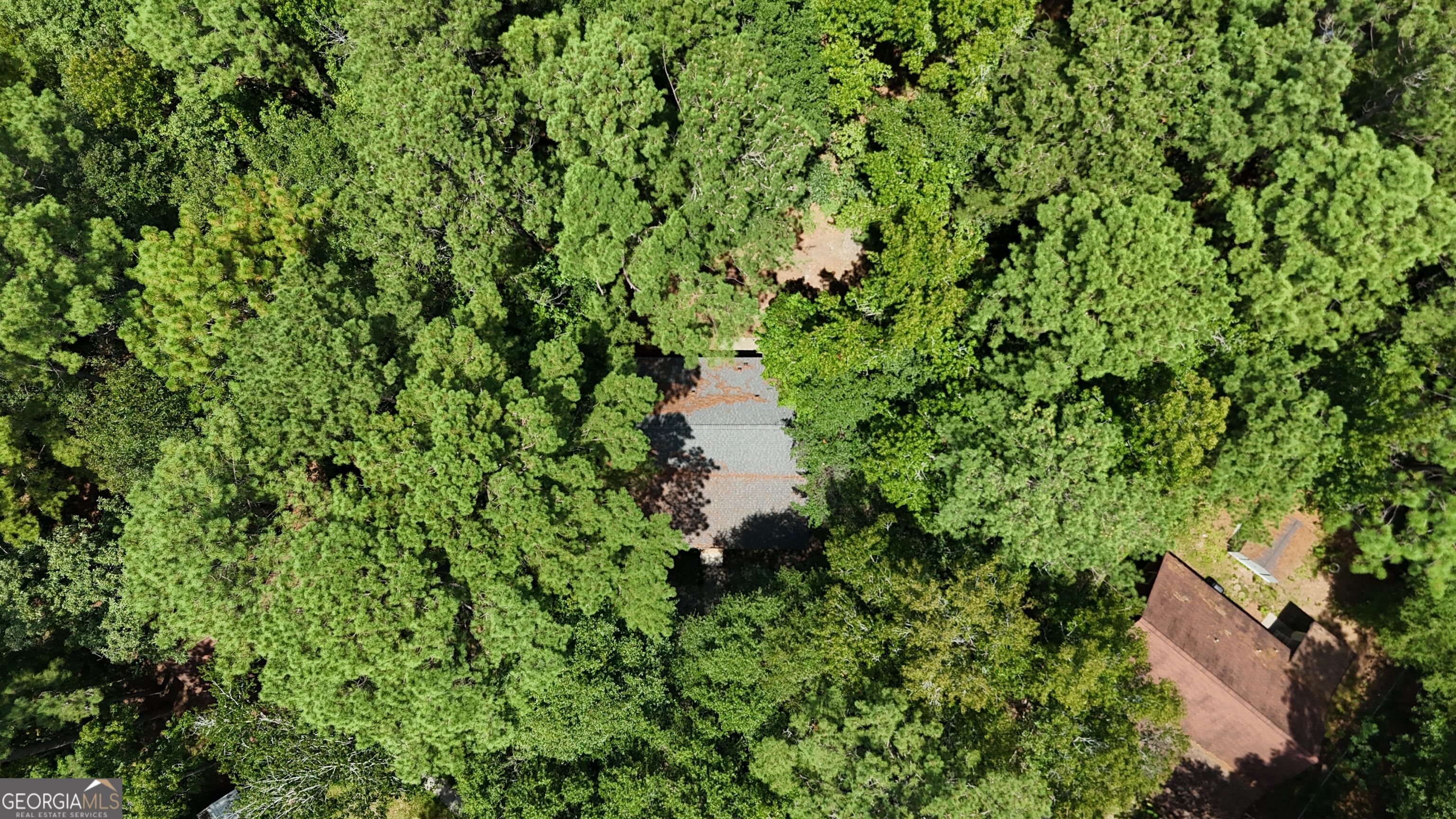 307 Stepping Stone Court