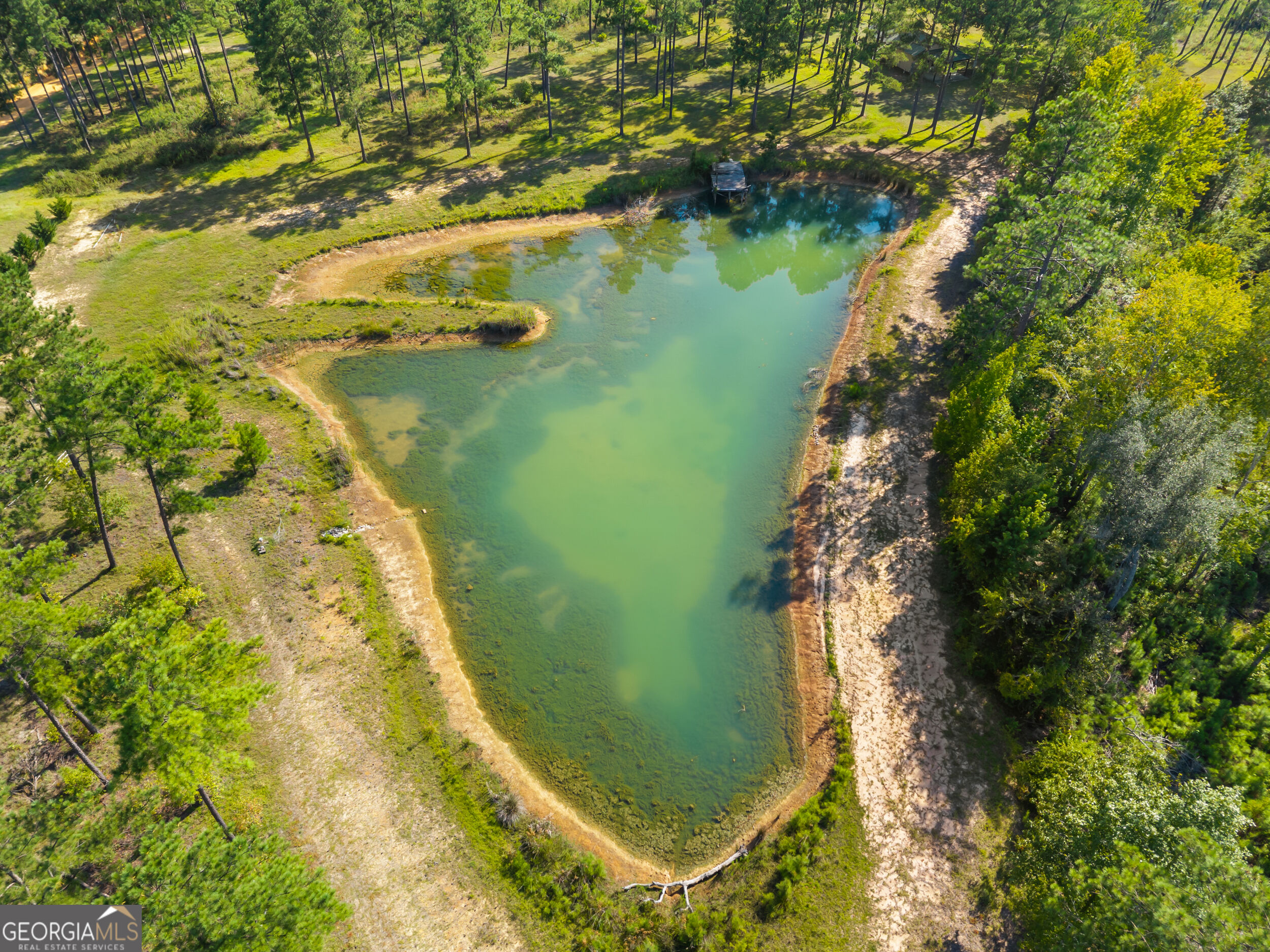 435 Canoochee Bypass
