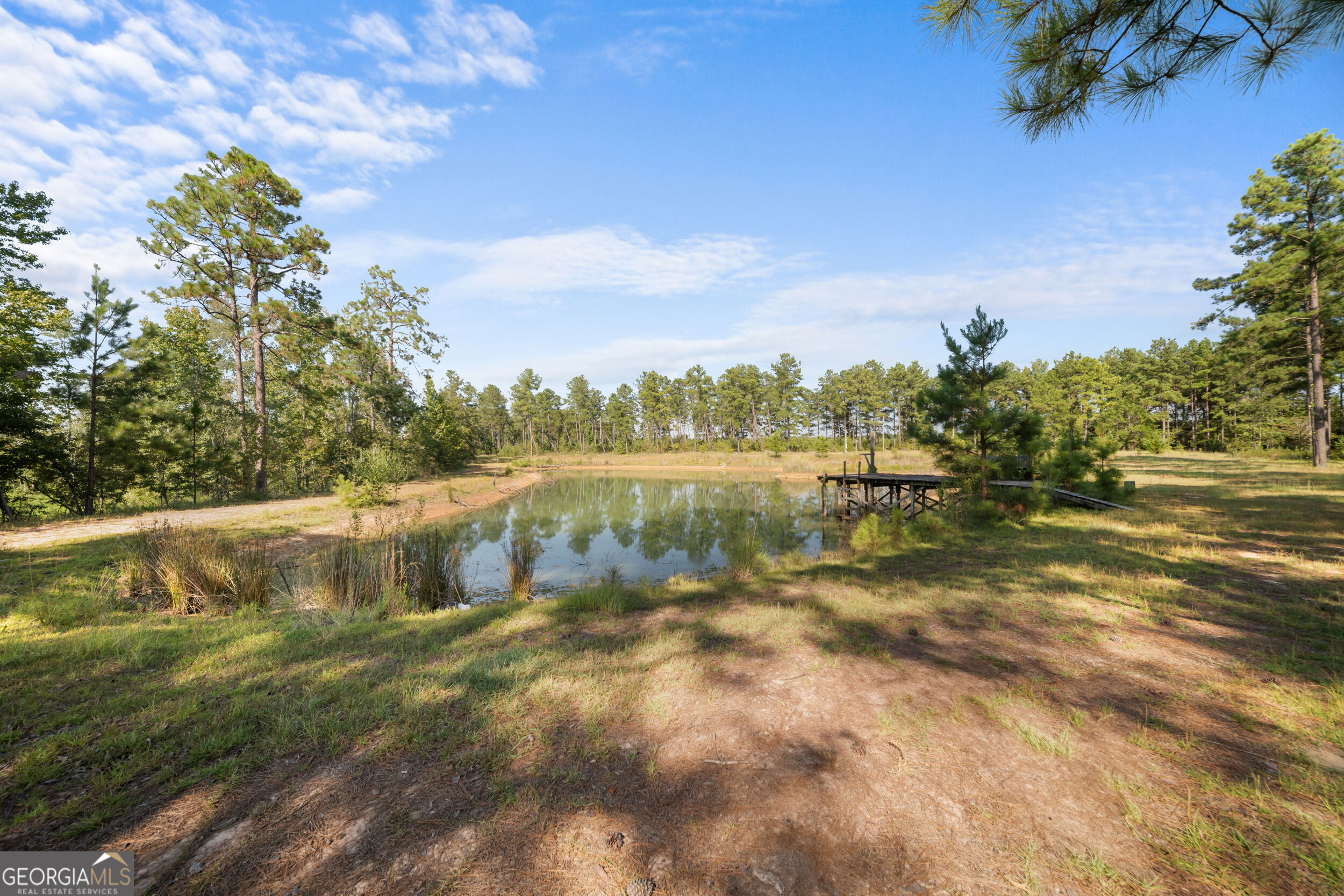 435 Canoochee Bypass