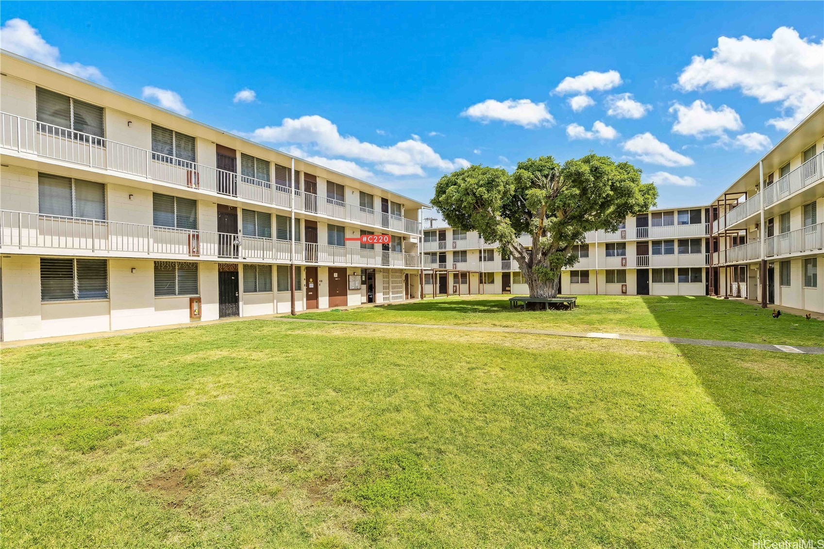 1425 Kaumualii Street C220