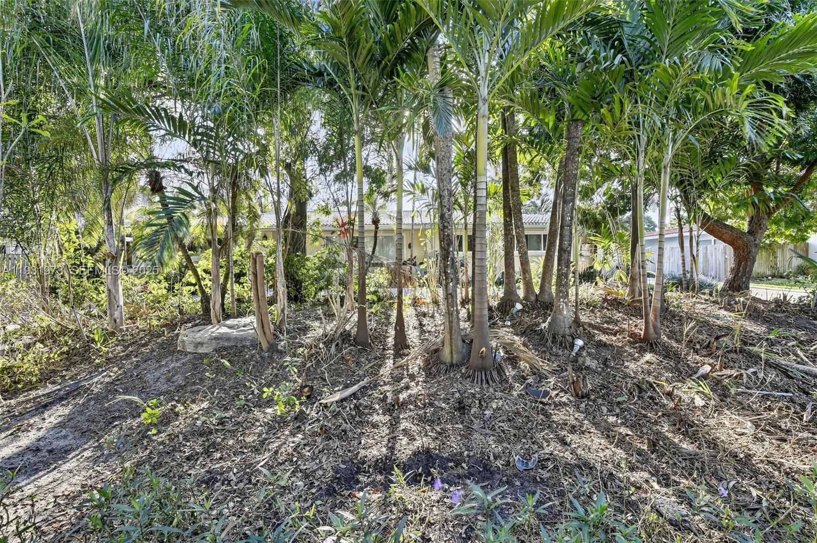 1051 W Tropical Way