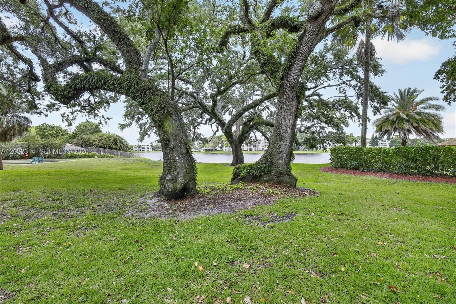 1911 Sabal Palm Dr # 202