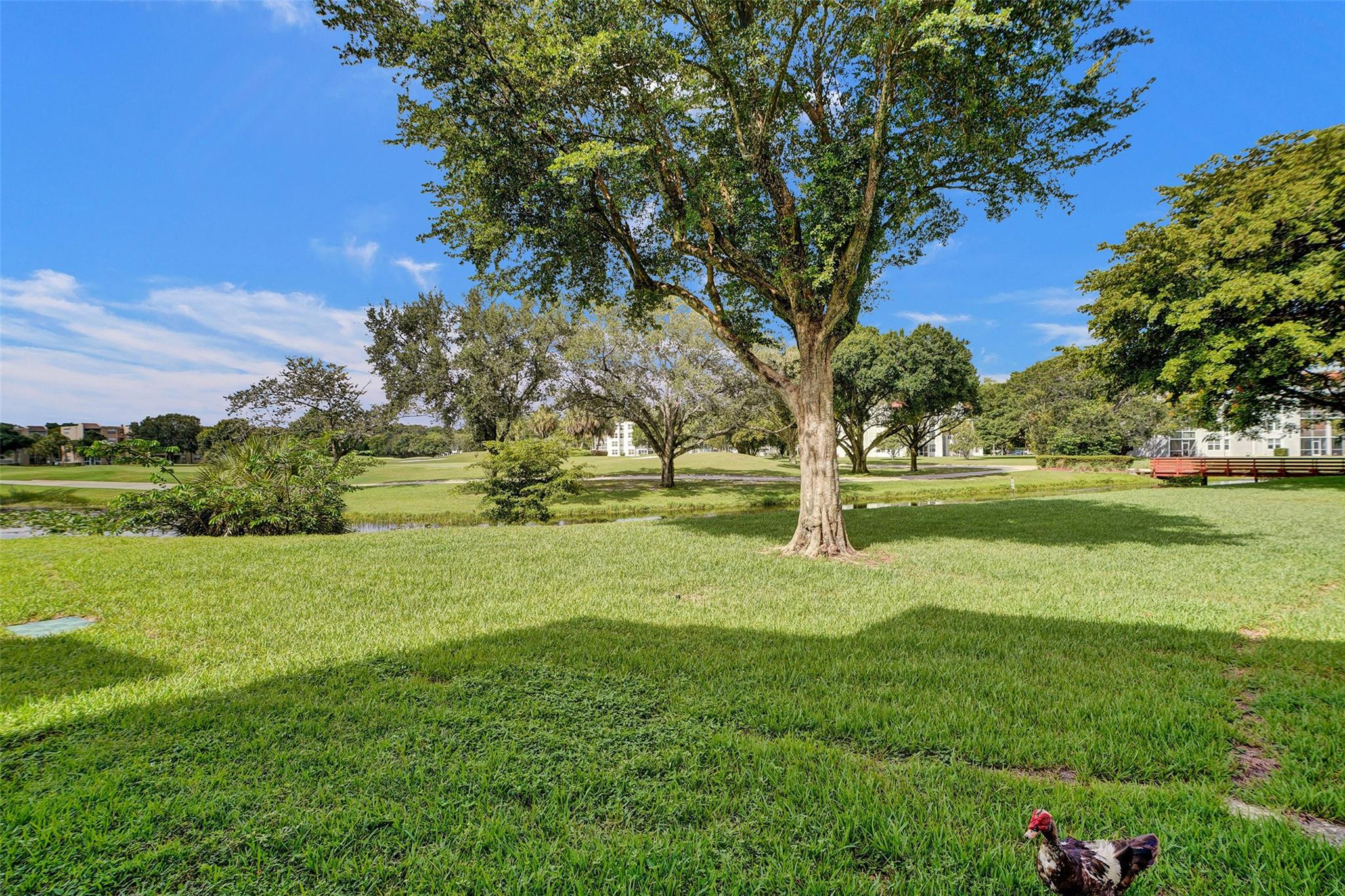 9481 Evergreen Pl 103