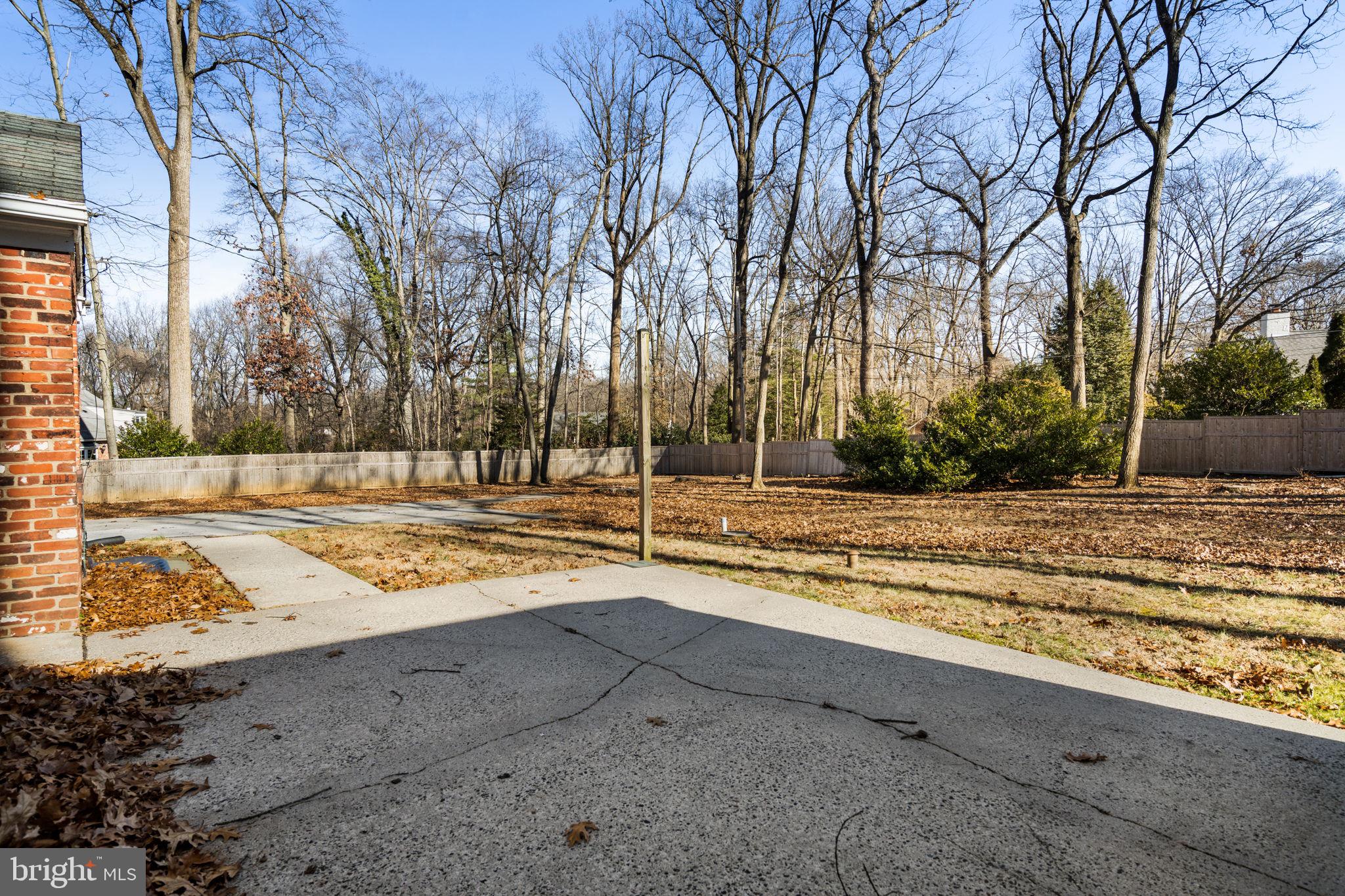 310 PINE TREE ROAD