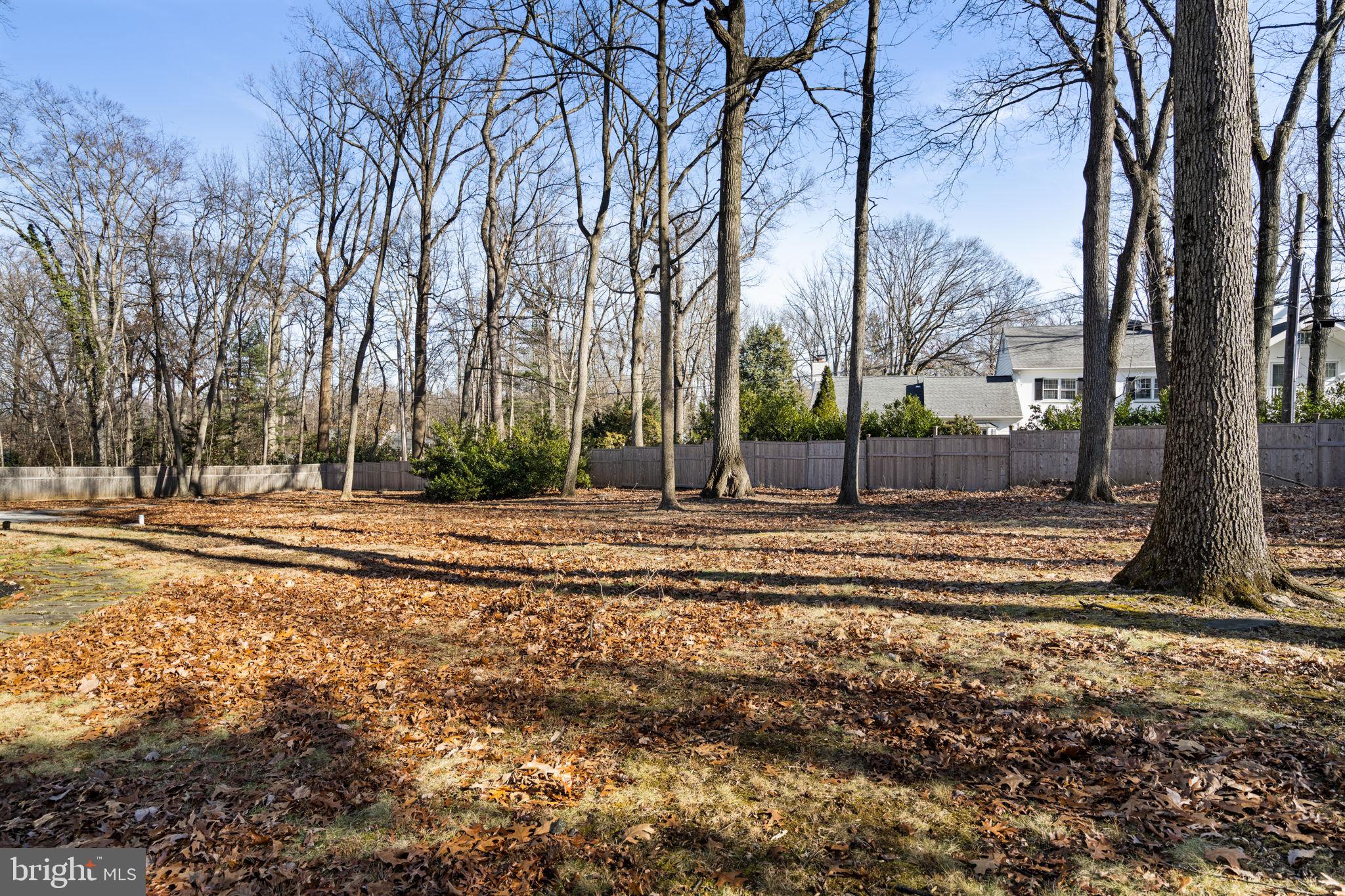 310 PINE TREE ROAD