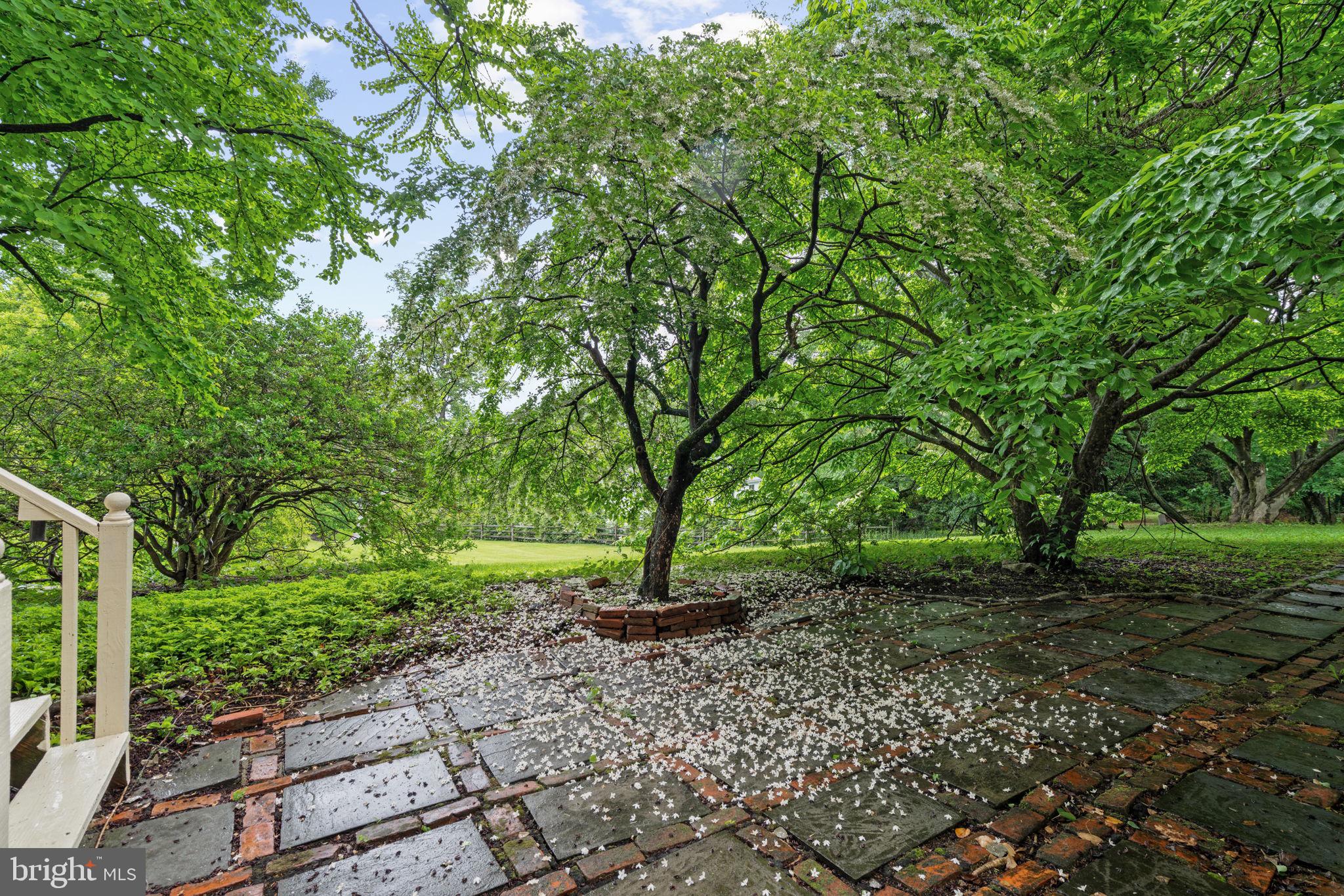 1508 SWEET BRIAR ROAD
