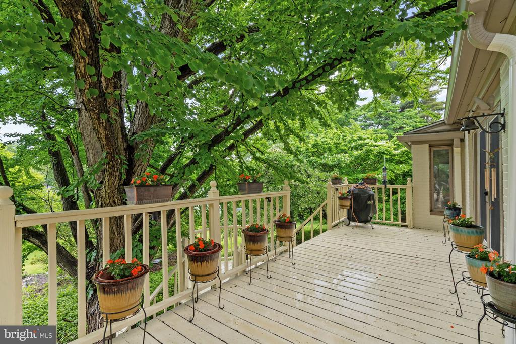 1508 SWEET BRIAR ROAD