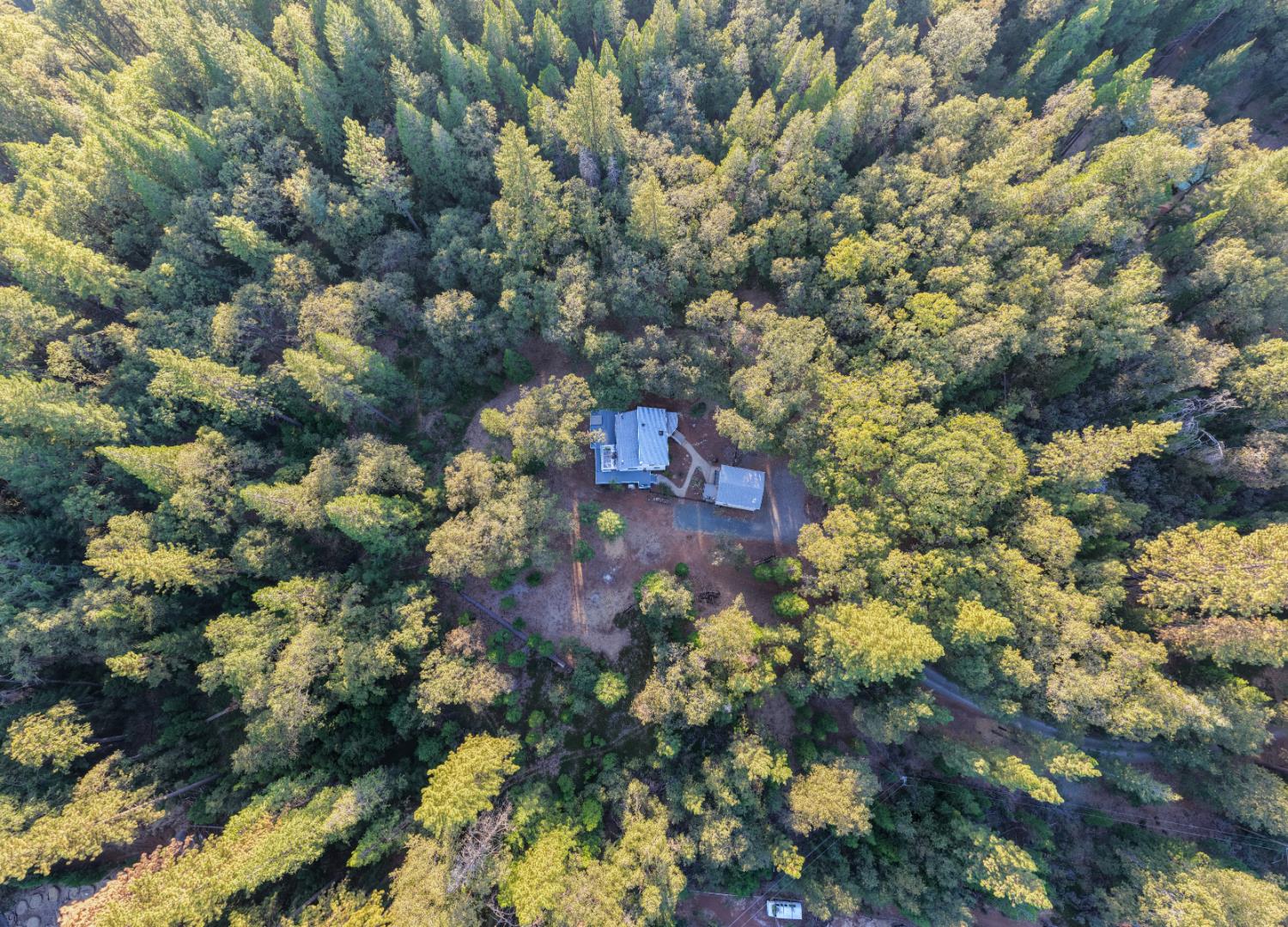 Aerial view of a home and outbuilding in a forest clearing surrounded by dense trees.