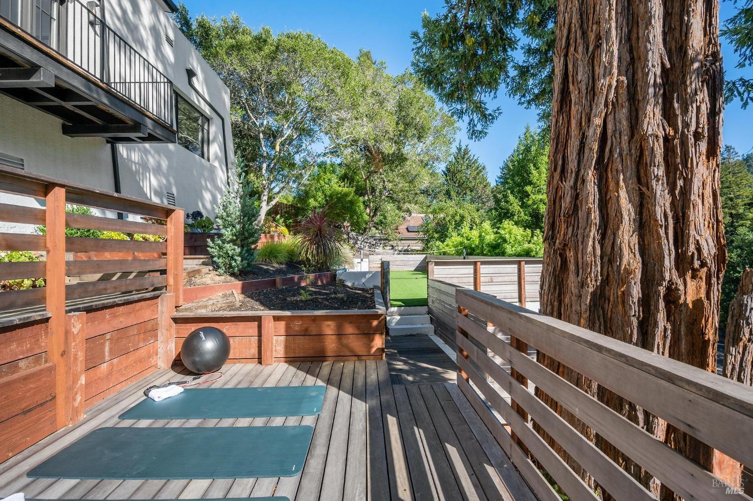 516 Throckmorton Ave