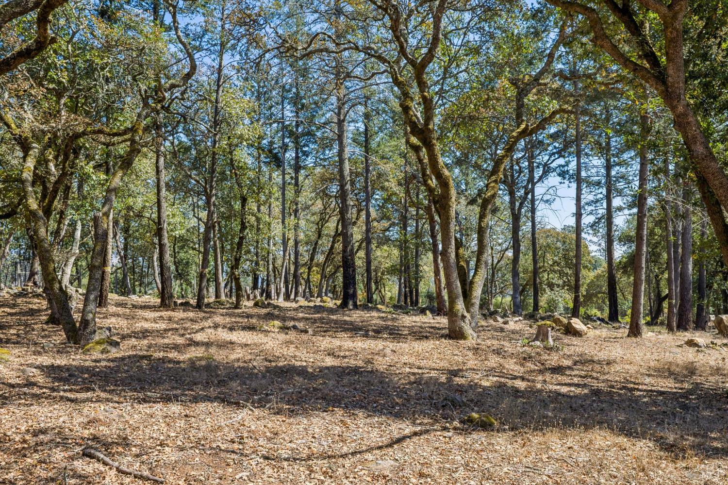 2803 Bardy Road