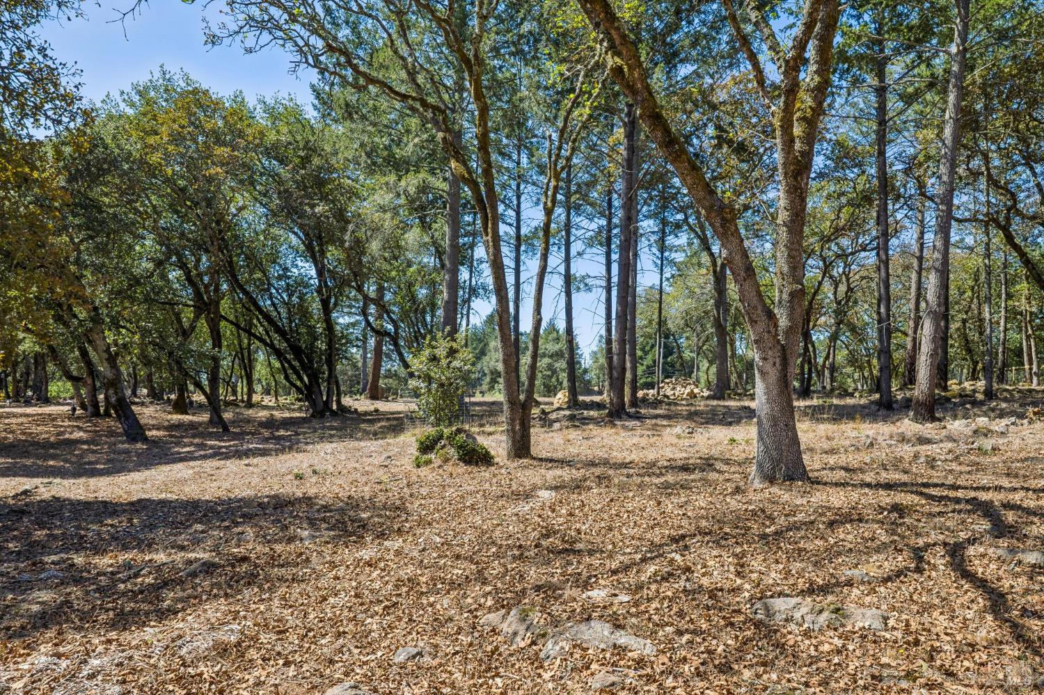 2803 Bardy Road