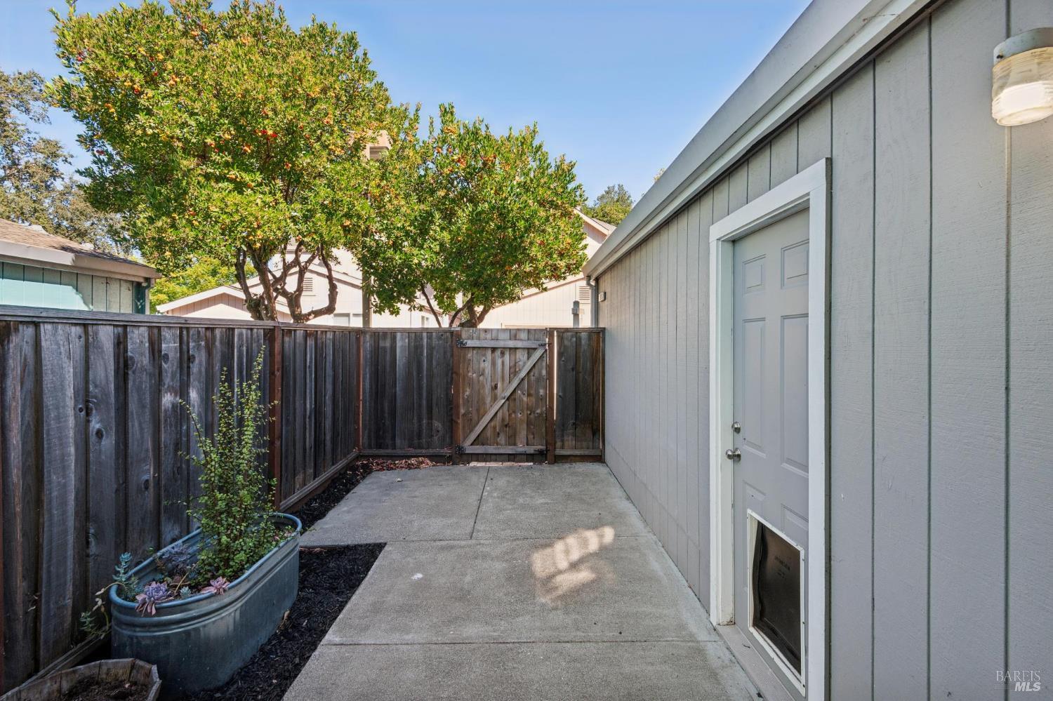 Concrete side patio with a raised planter, wooden fence, and exterior door with a pet door.