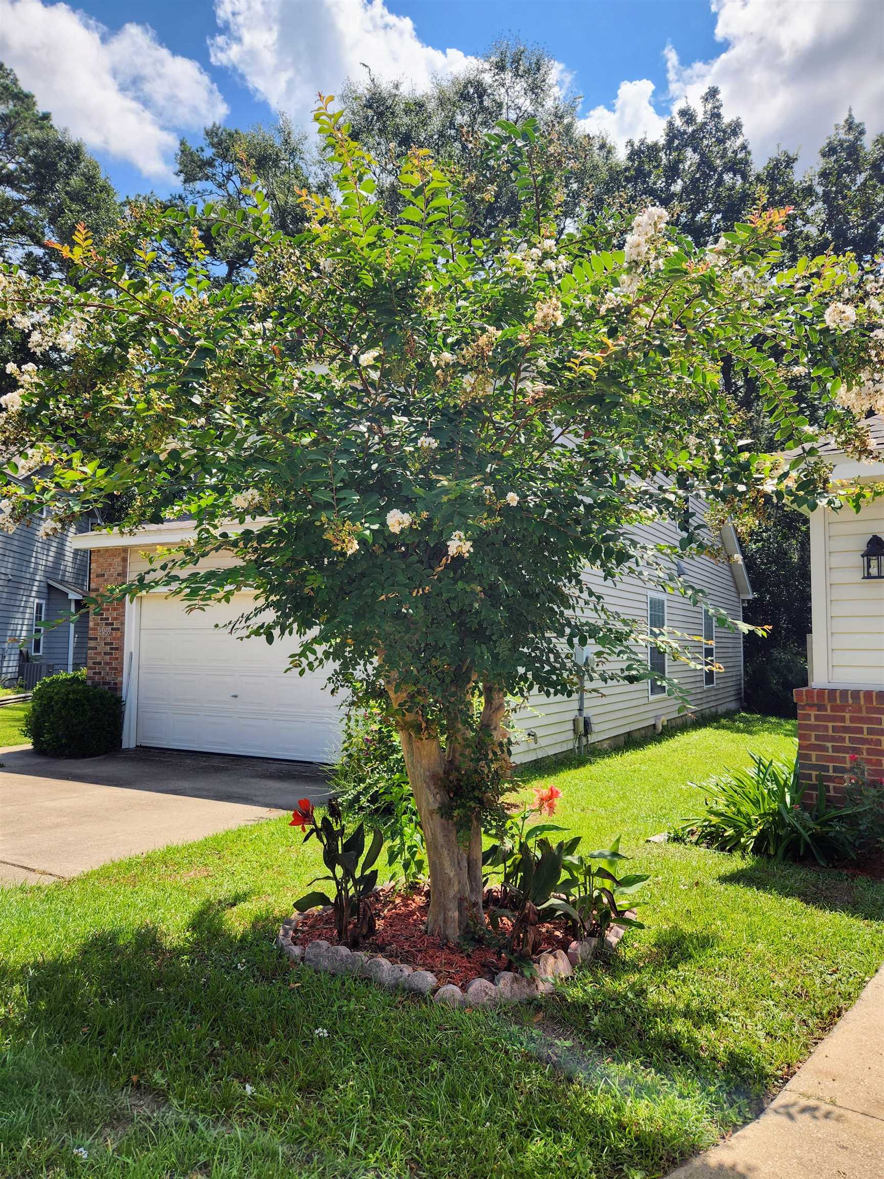 2967 Paddington Drive