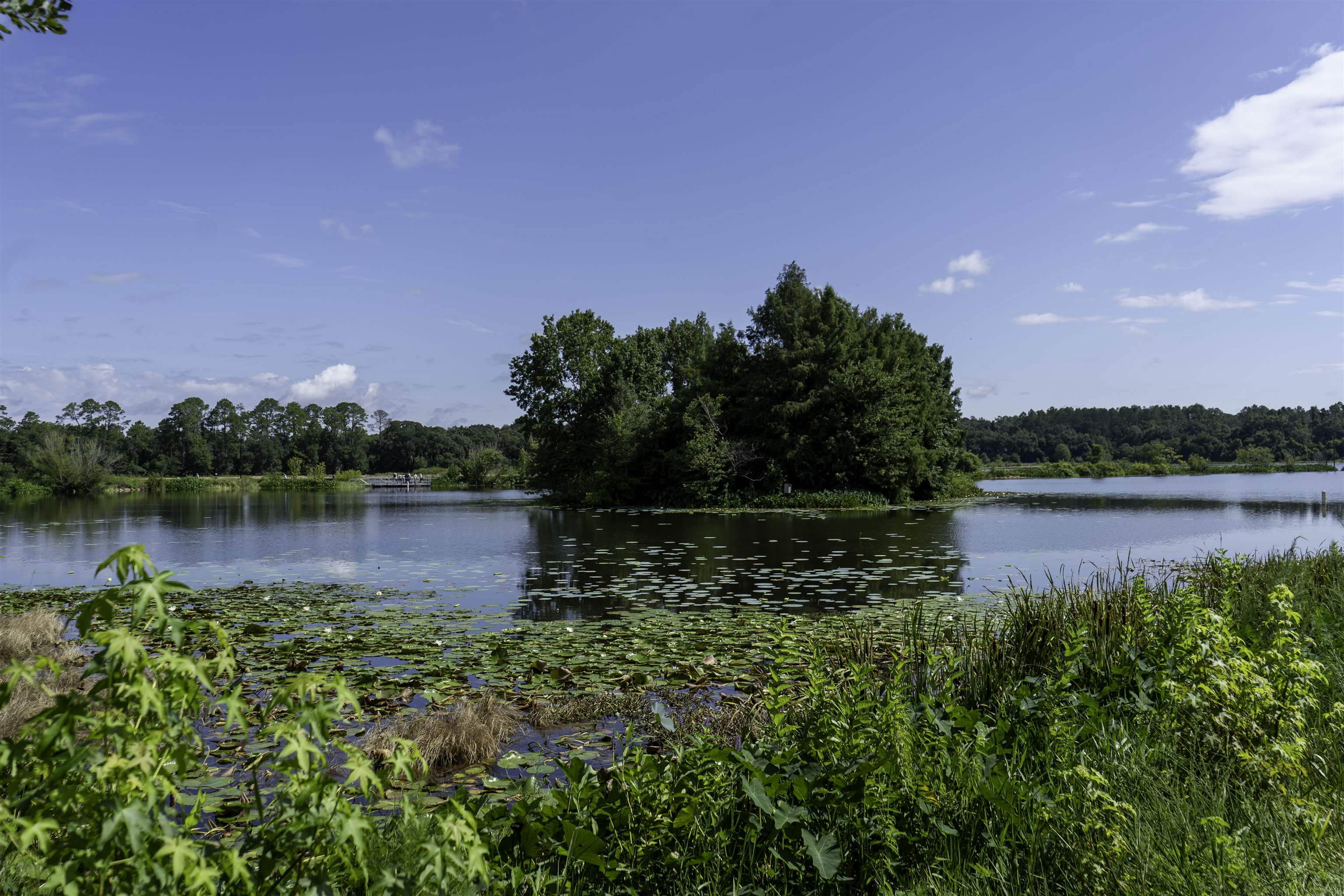 4886 Heritage Park Boulevard