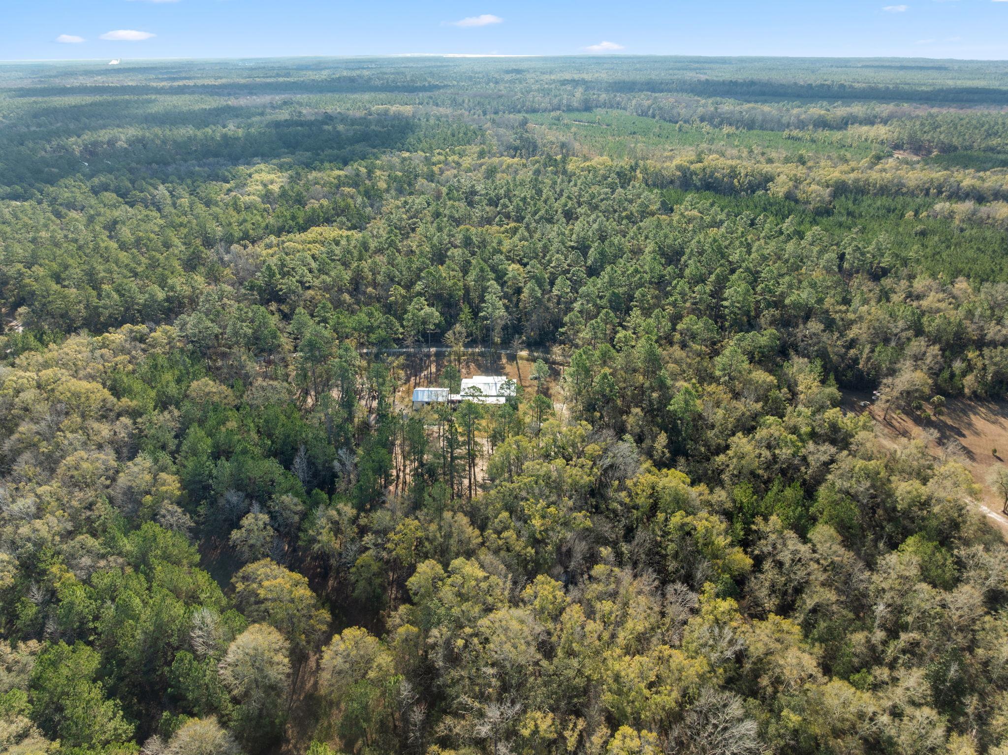 154 PANTON LESLIE Lane