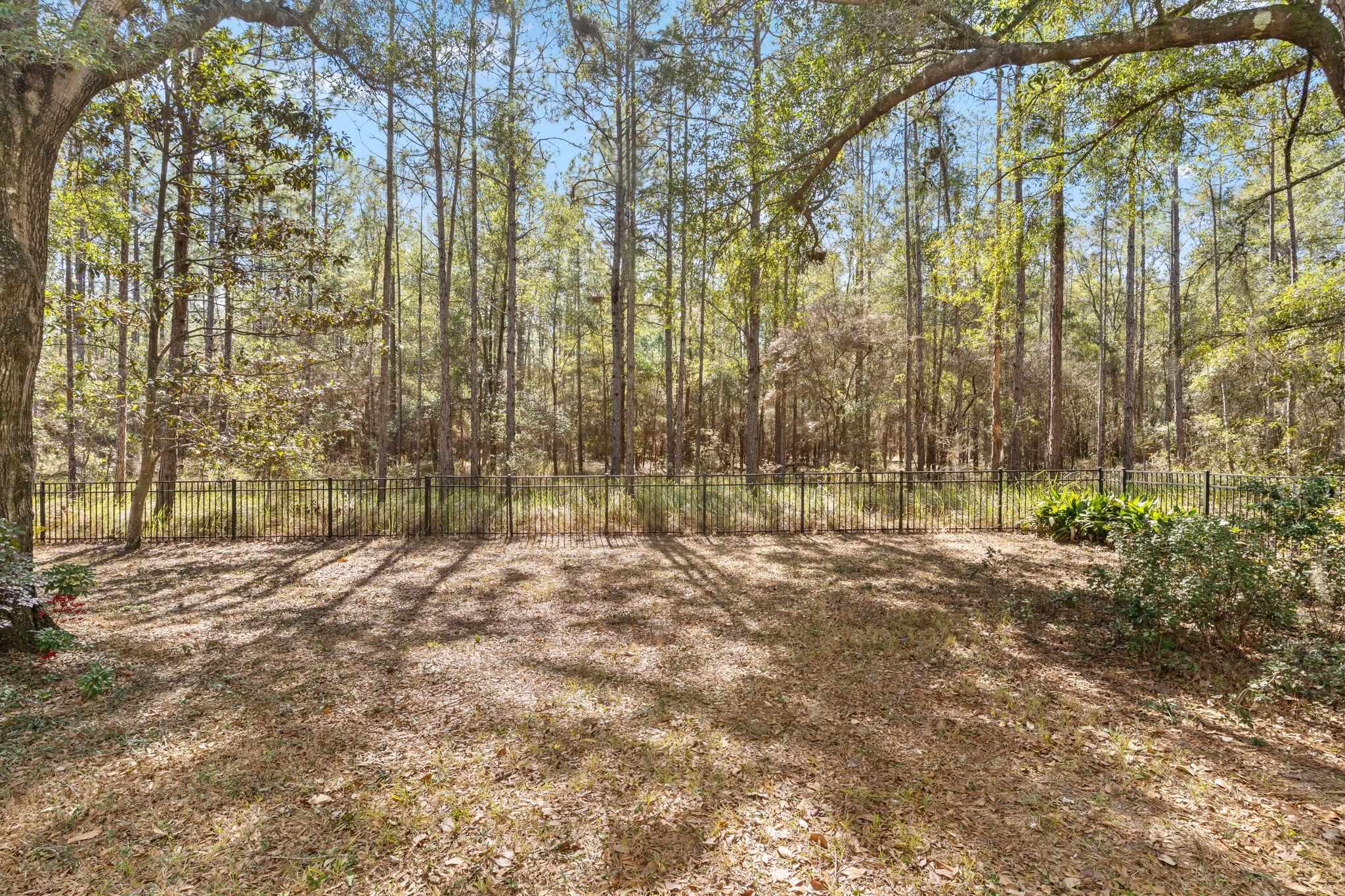 3255 SALINGER Way