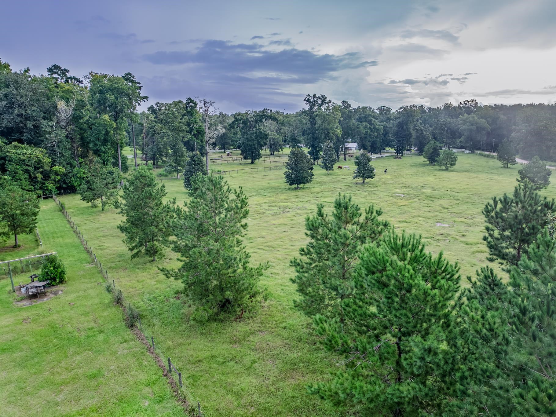 454 Tiger Hammock Road