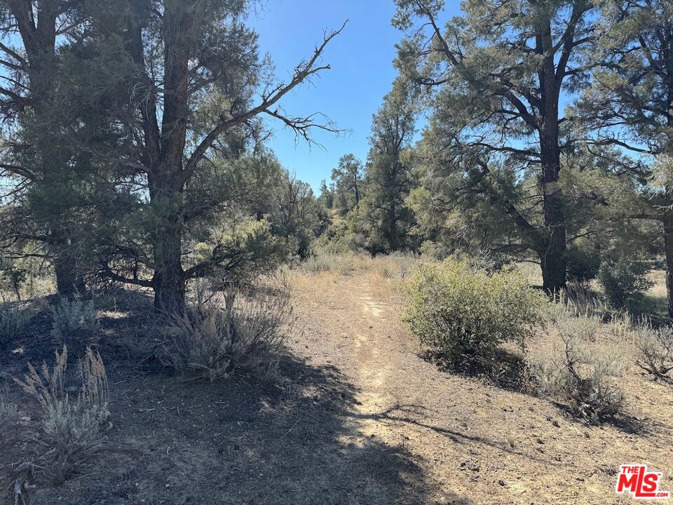 0 Green Leaf Springs Rd