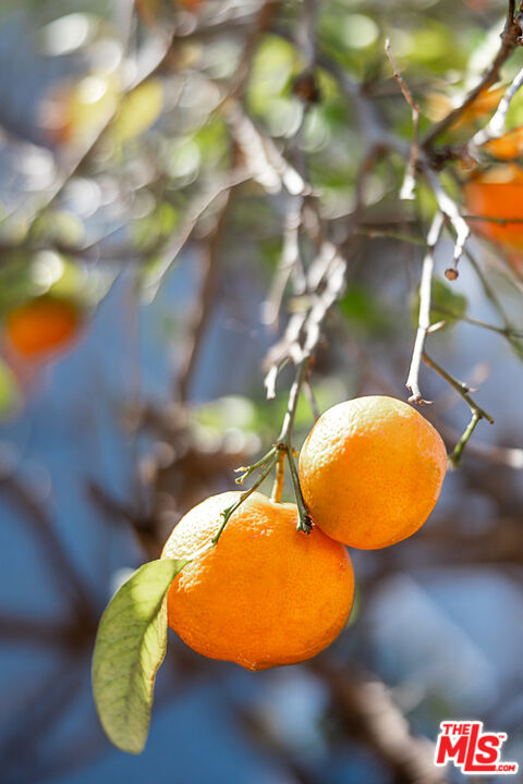 1135 26th St Unit: D