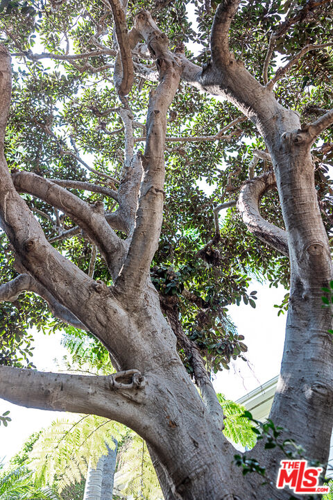 1135 26th St Unit: D