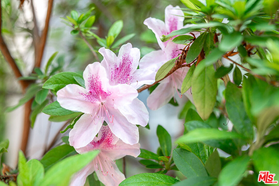 1135 26th St Unit: D