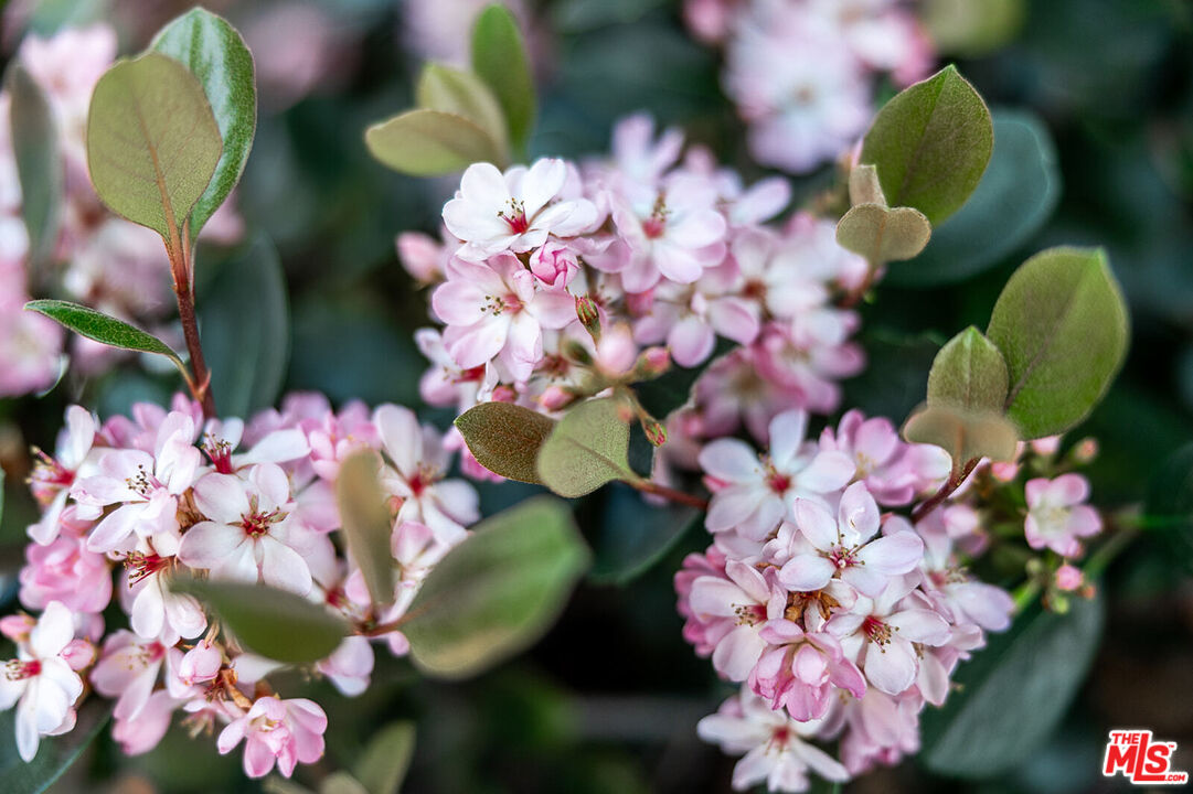 1135 26th St Unit: D