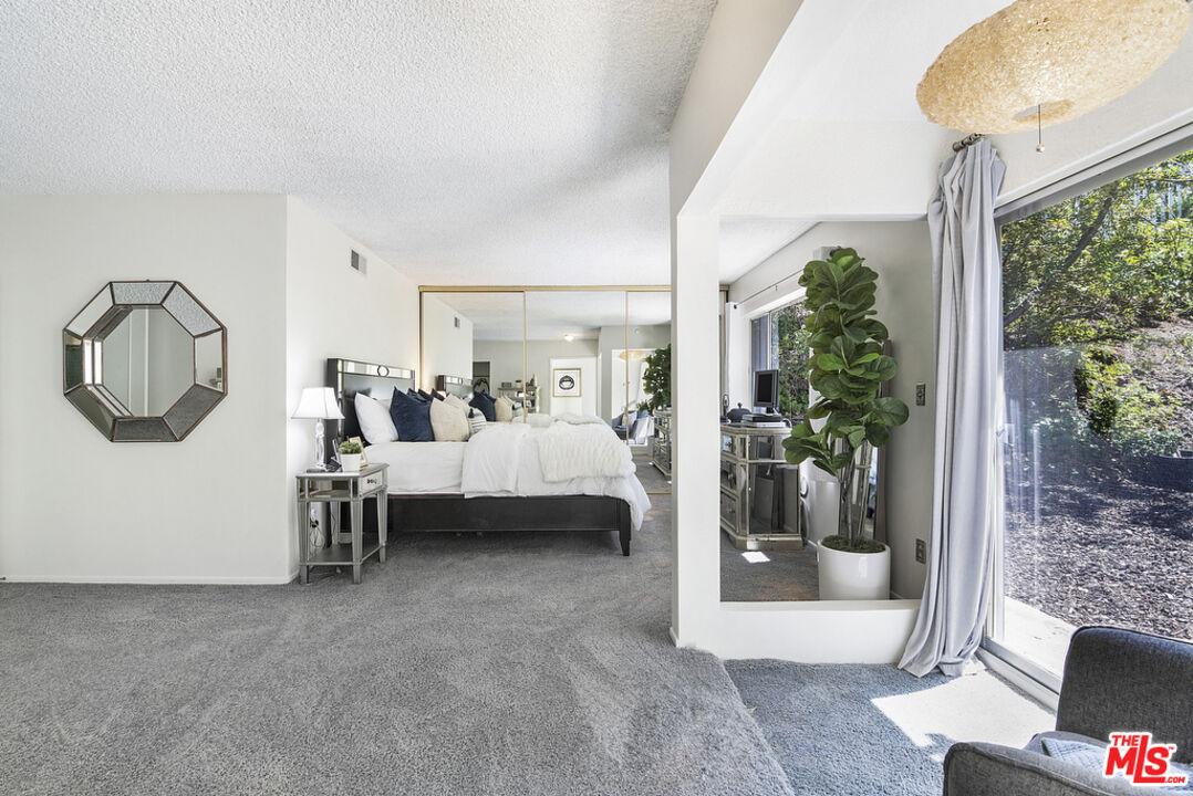 11500 Dona Dolores Pl