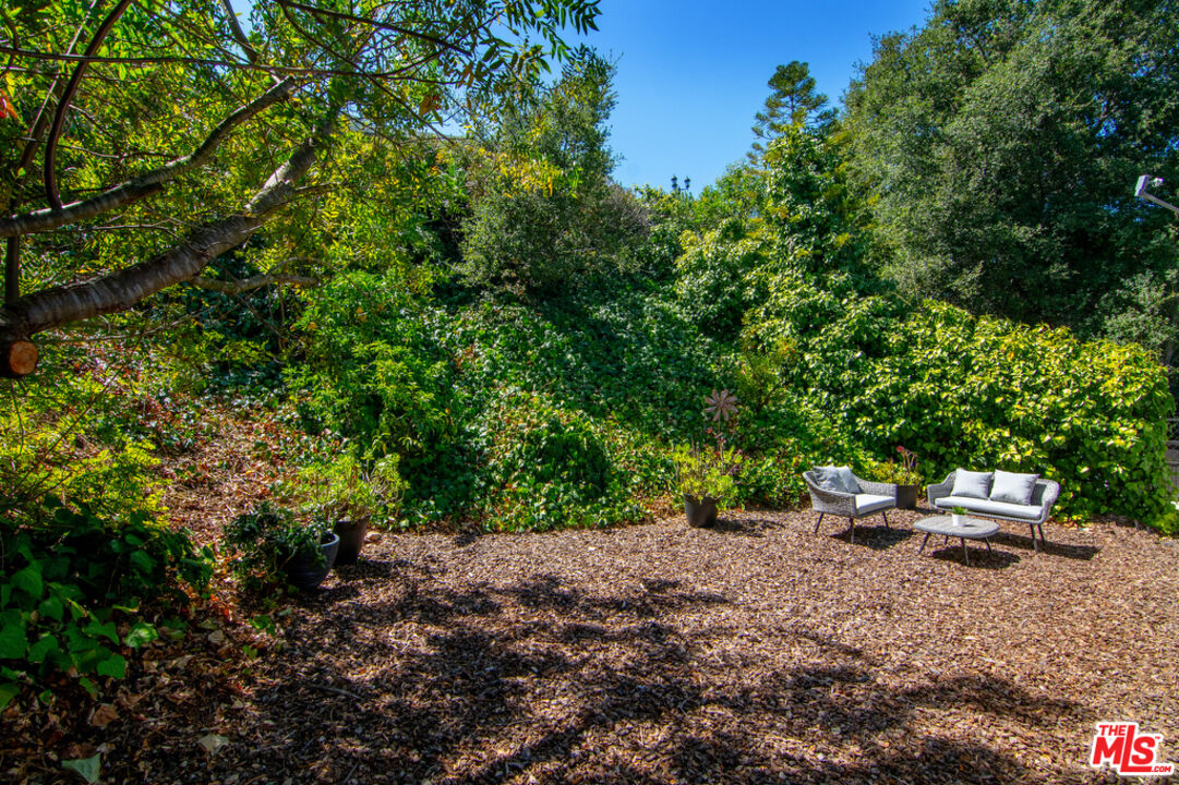 11500 Dona Dolores Pl