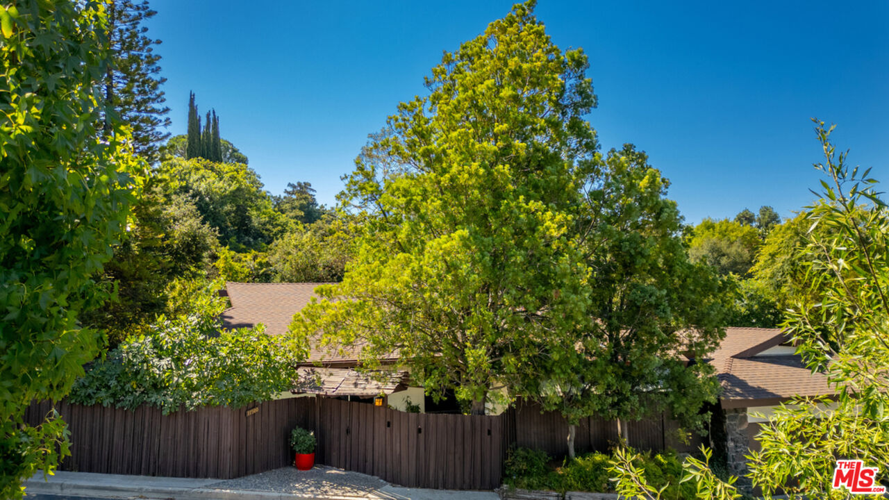 11500 Dona Dolores Pl