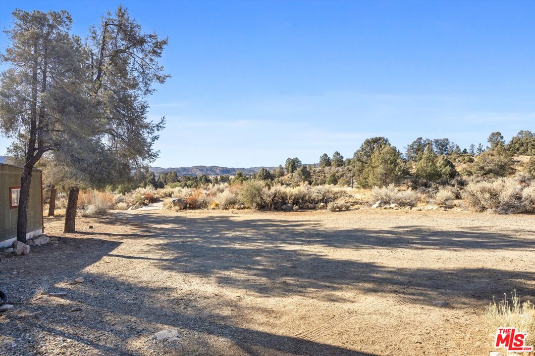 15699 Greenleaf Springs Rd