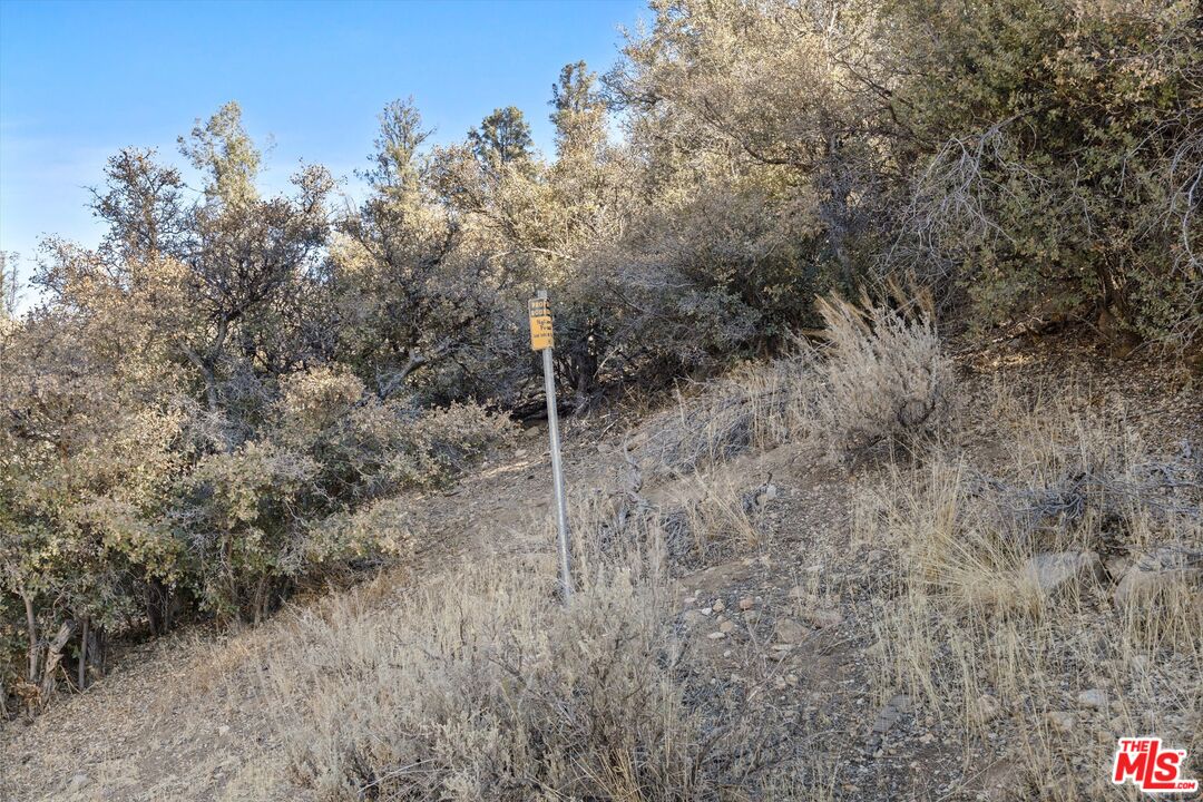 15699 Greenleaf Springs Rd