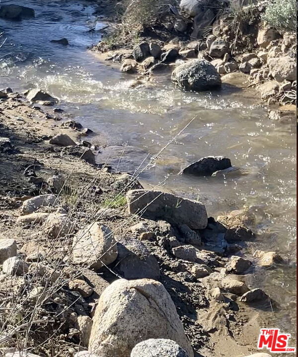 15699 Greenleaf Springs Rd