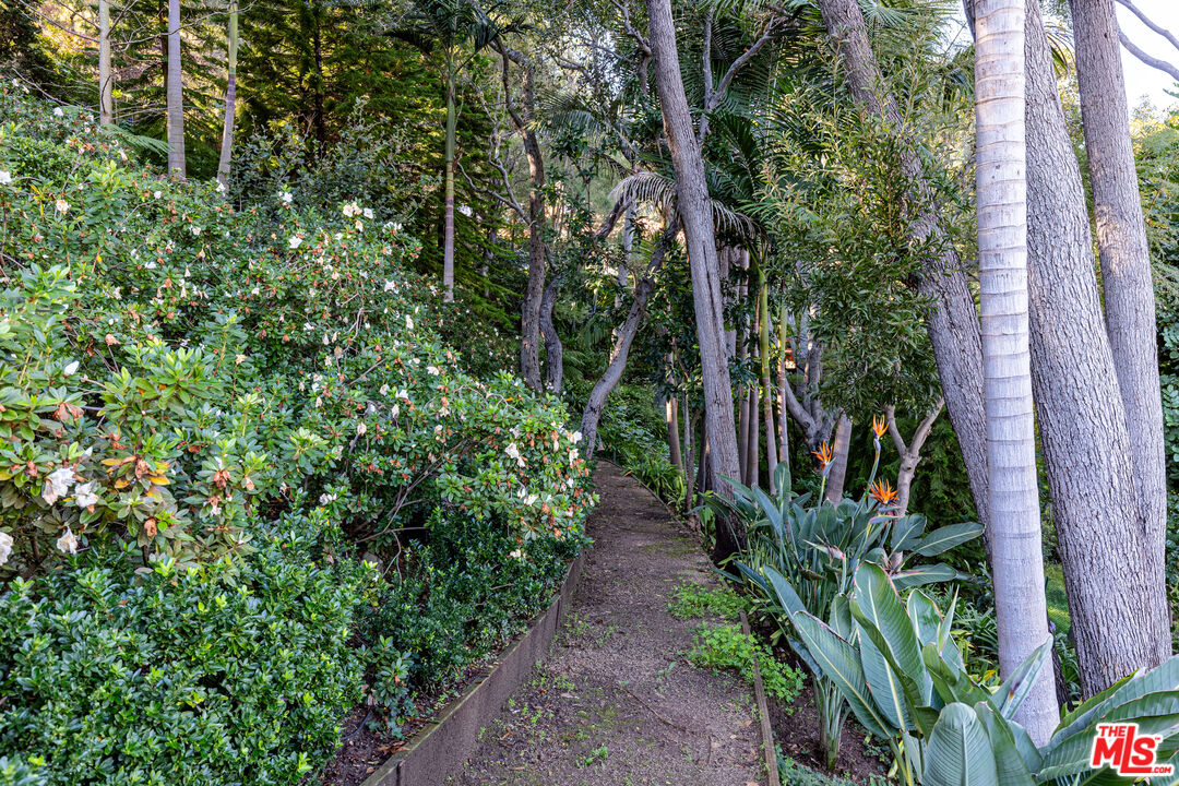 13166 Boca De Canon Ln