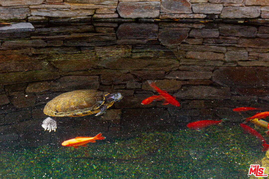 2041 Mandeville Canyon Rd