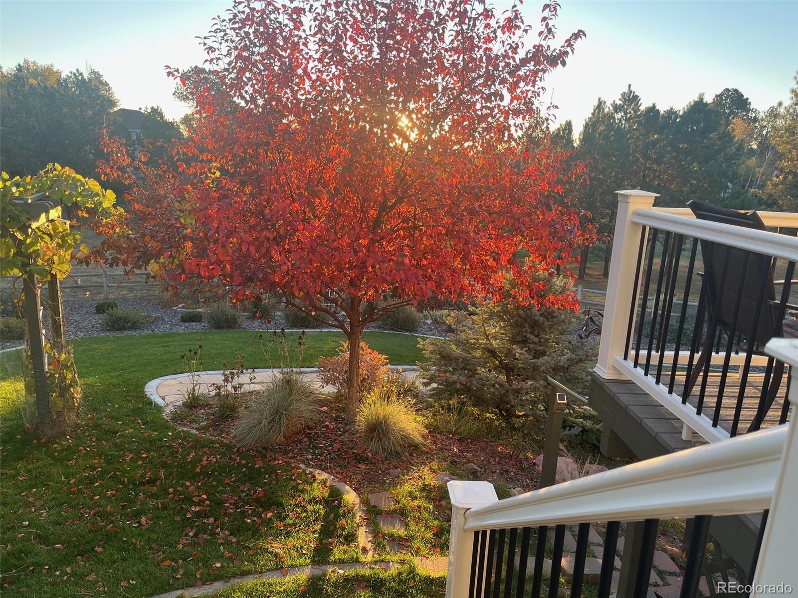 1330 Conifer Place