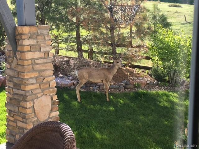 2636 Trailblazer Way