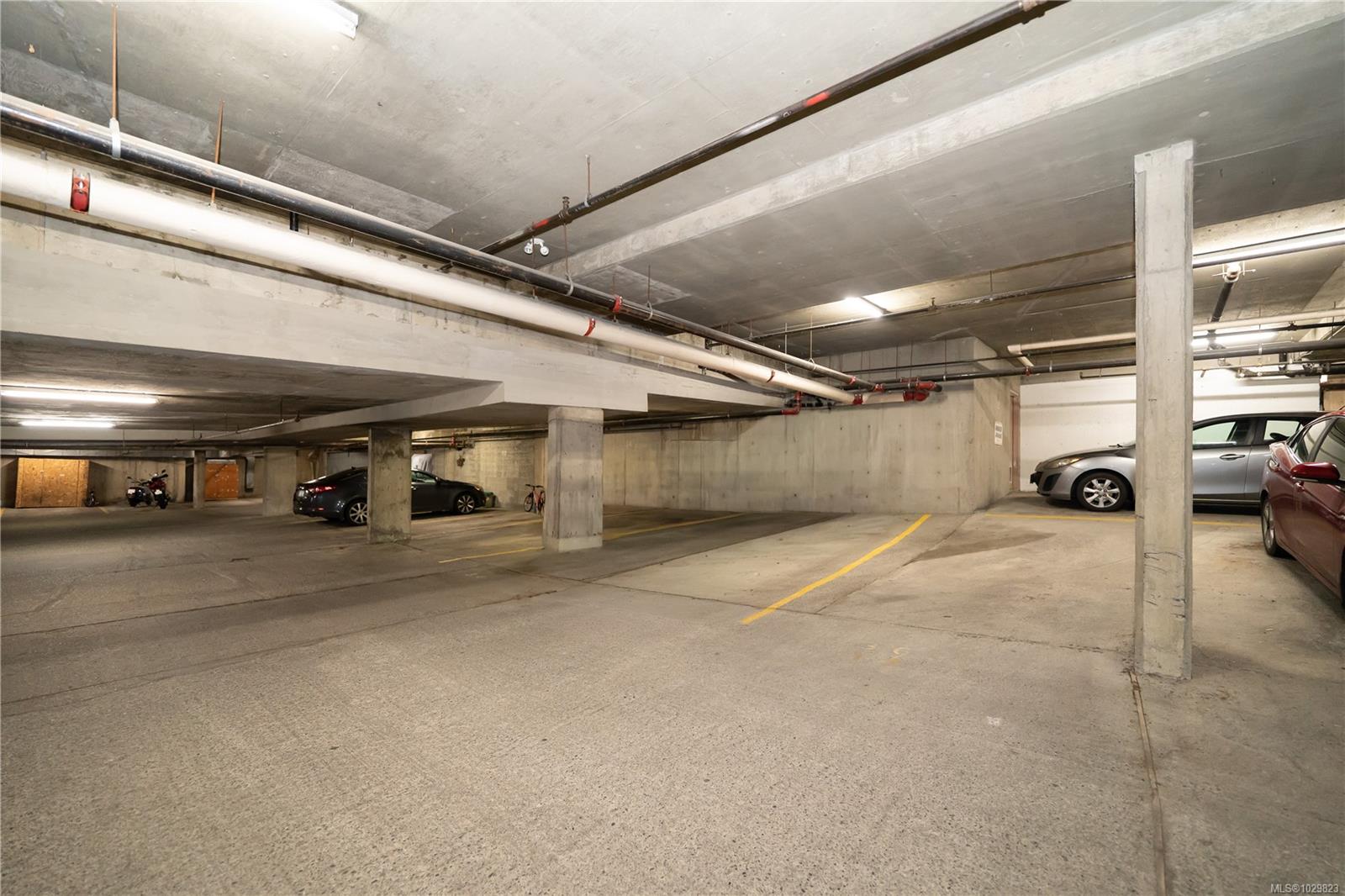 1655 Begbie St # 312