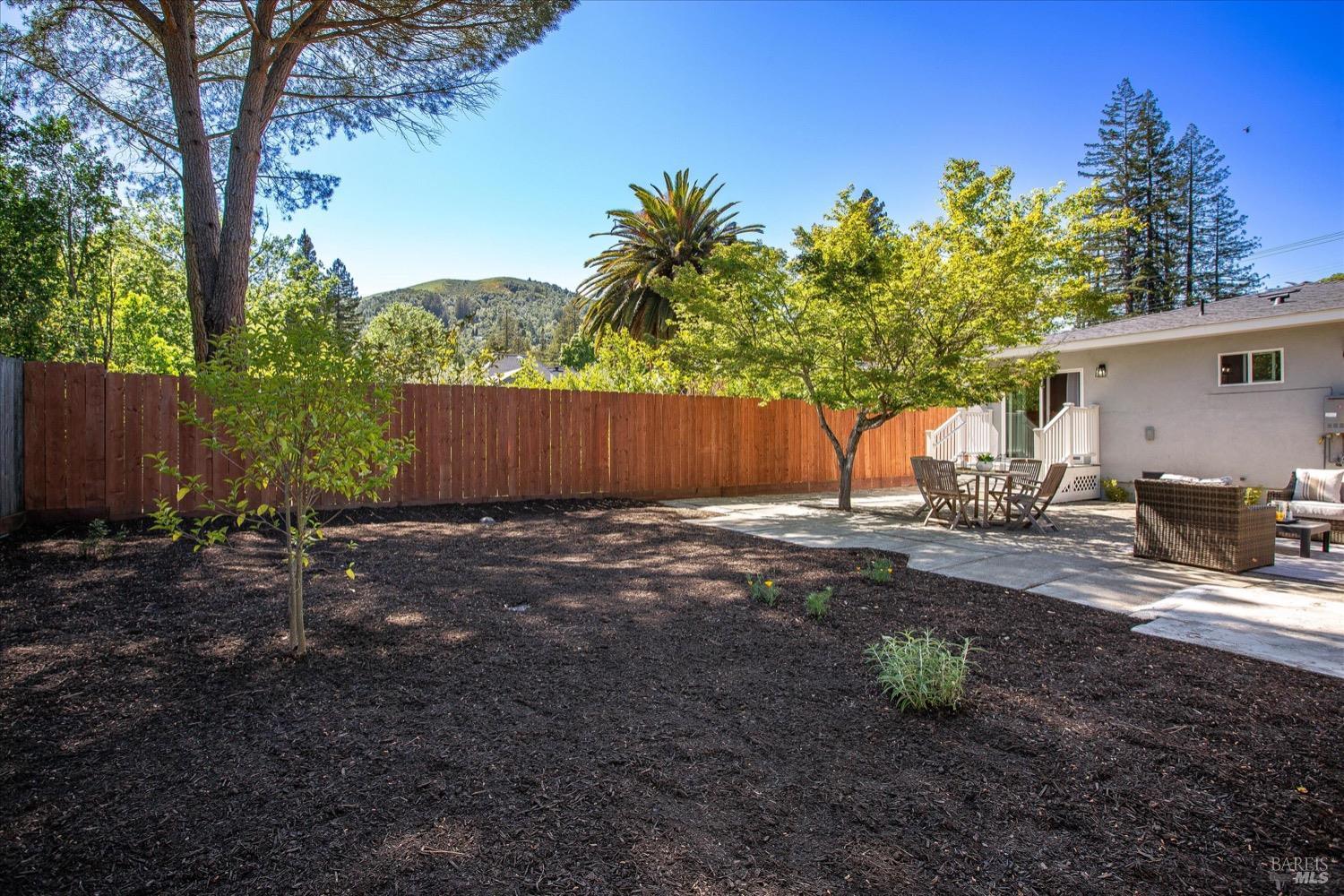 75 Bolinas Ave