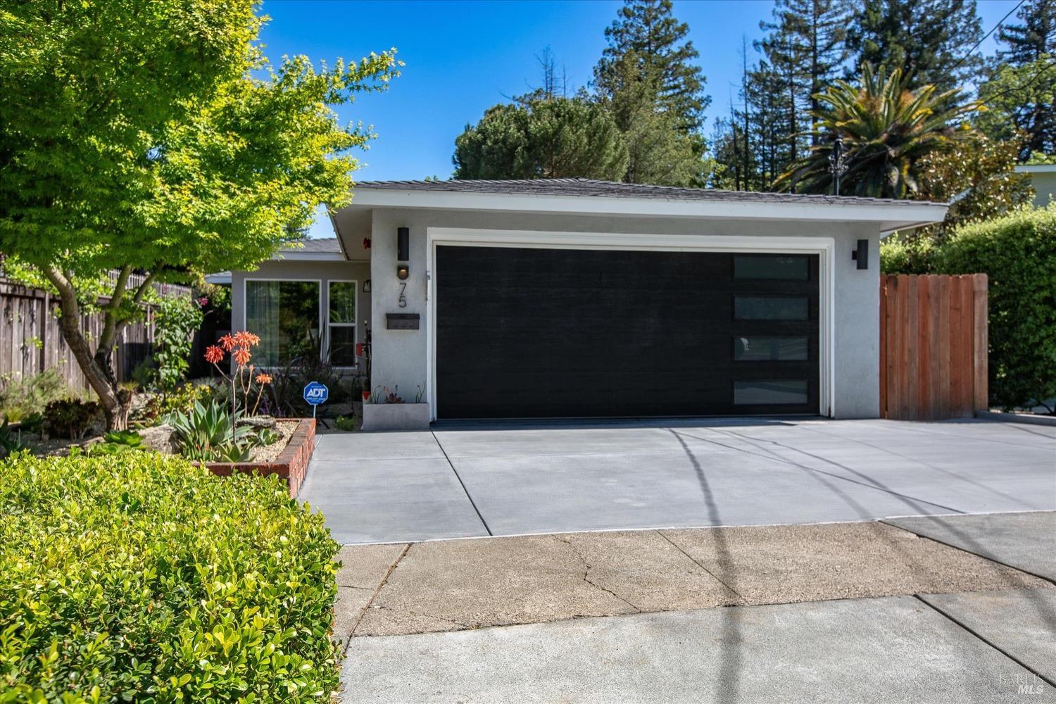 75 Bolinas Ave