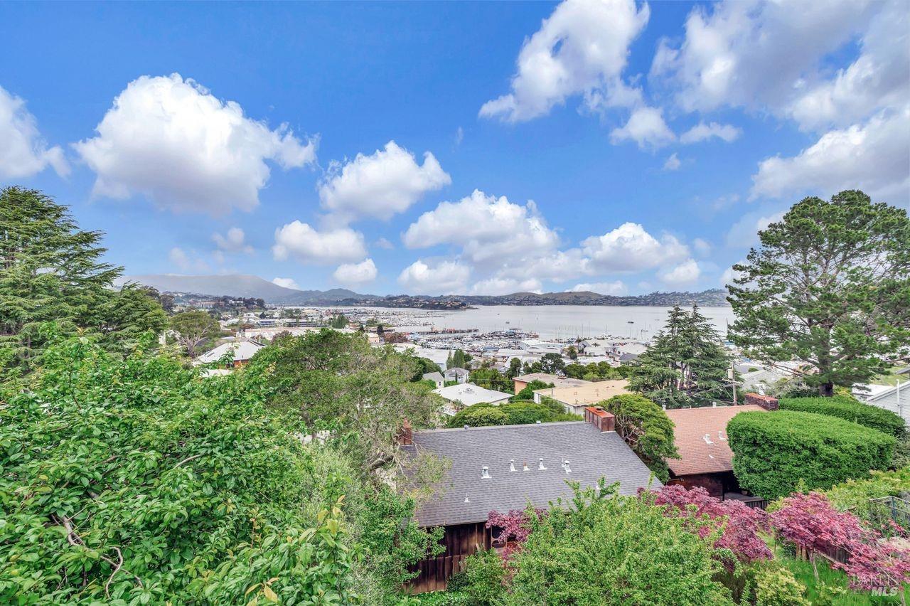 244 Cazneau Ave