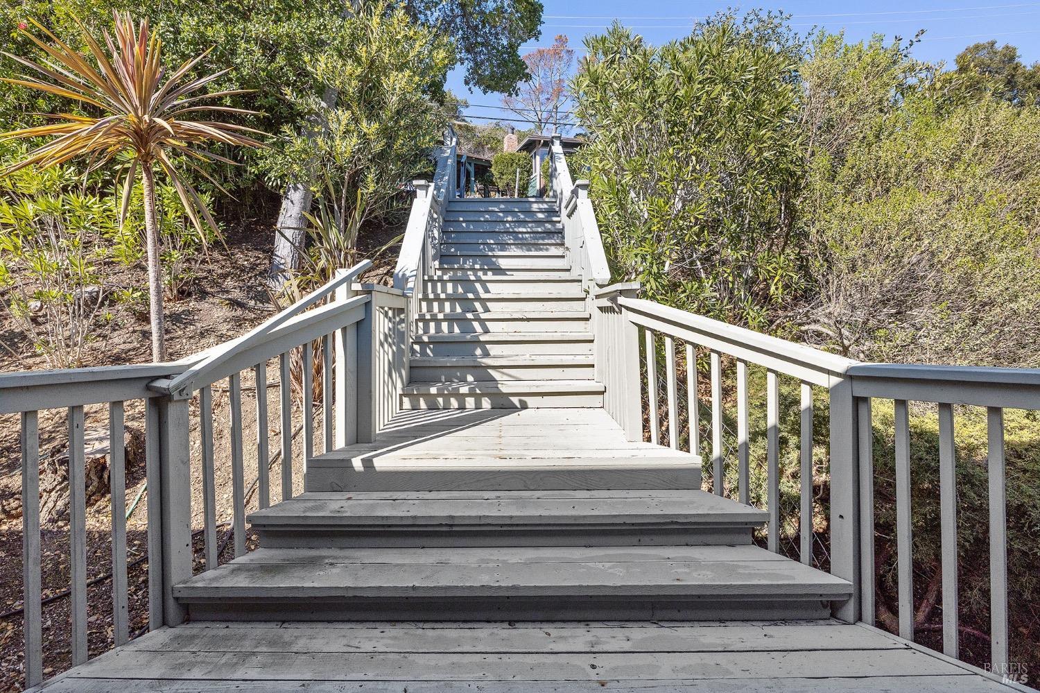 101 Oak Springs Dr