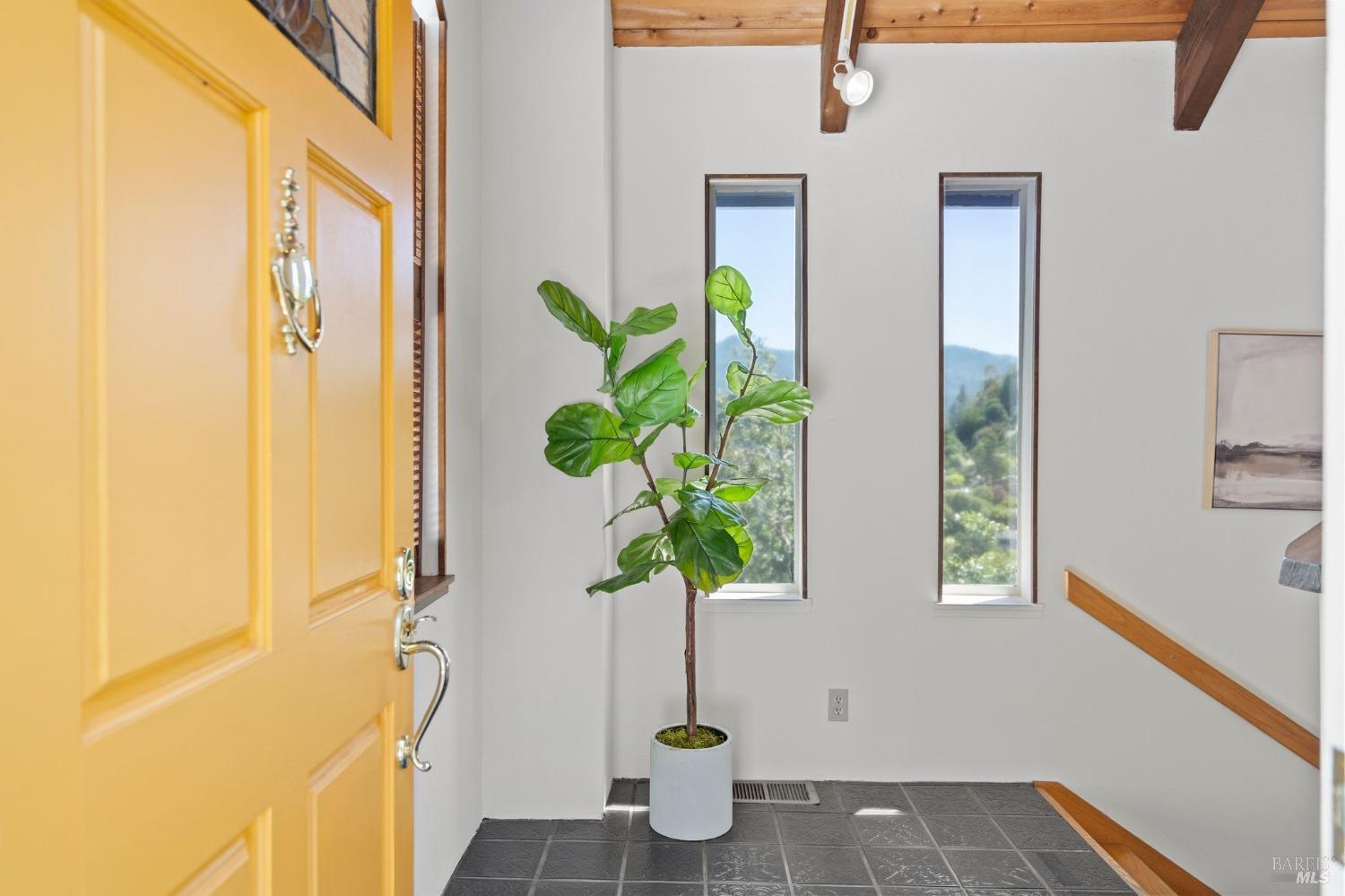 415 Sequoia Dr