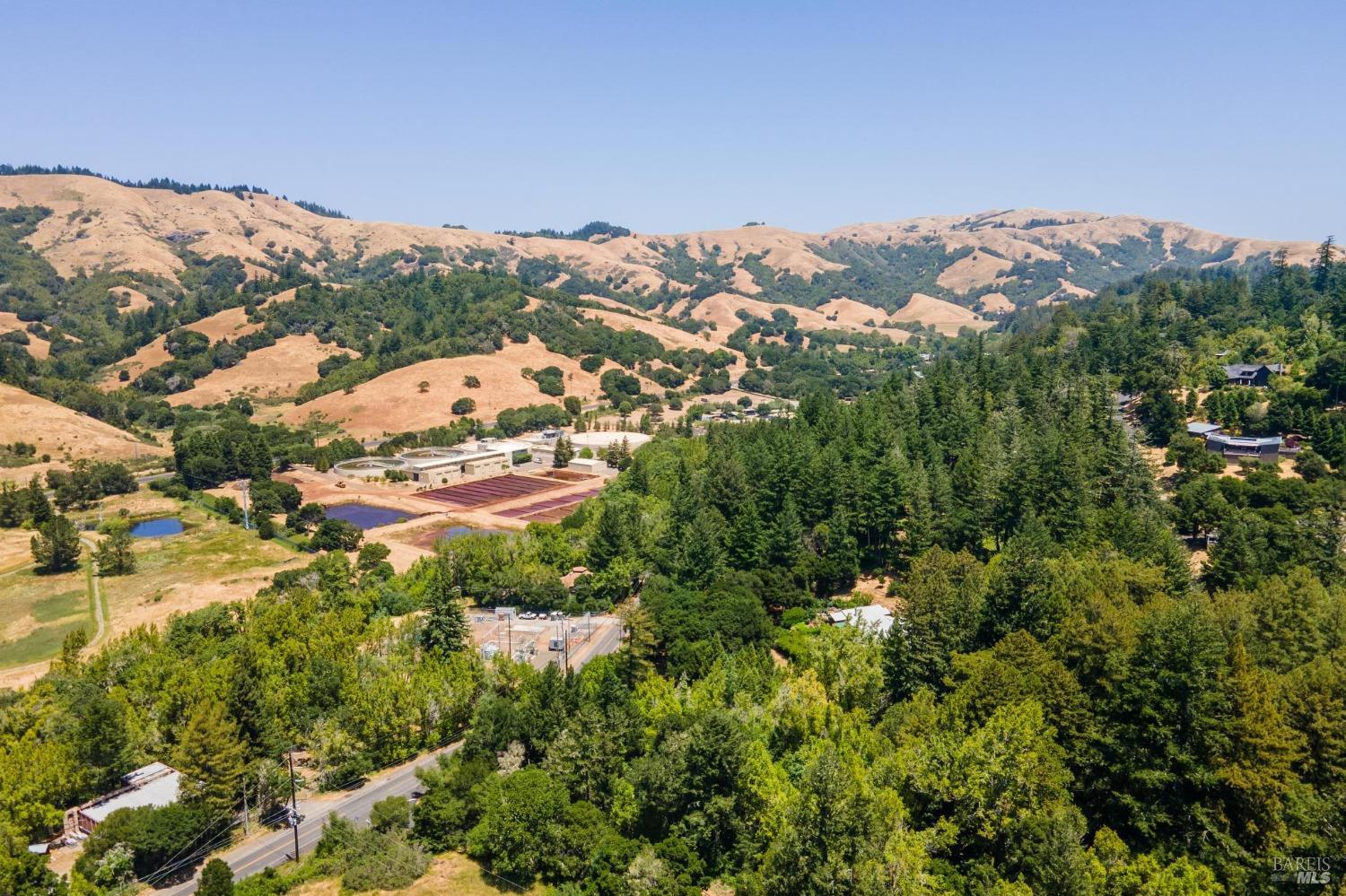 12 Meadow View Ln