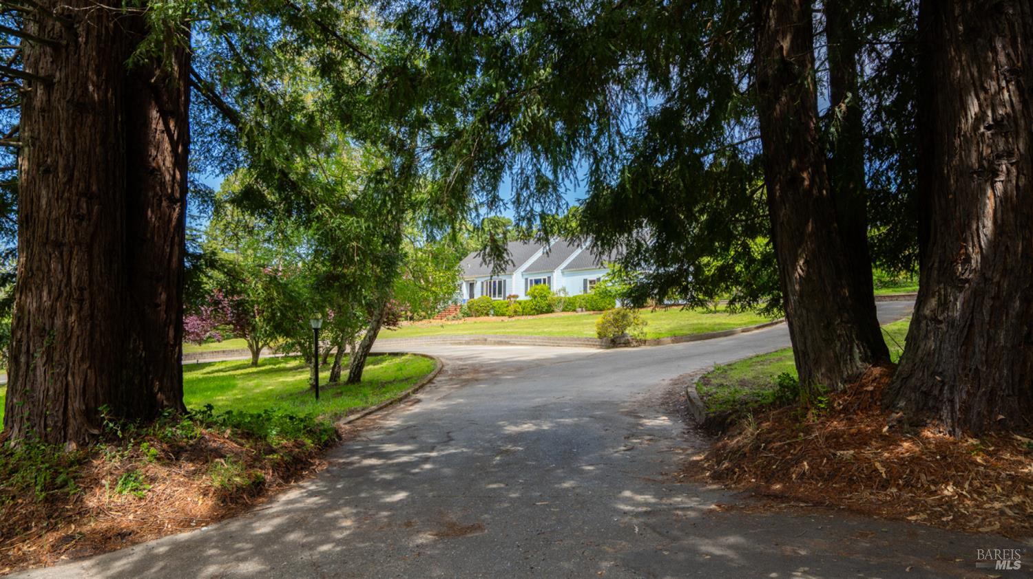 8099 Yule Tree Lane