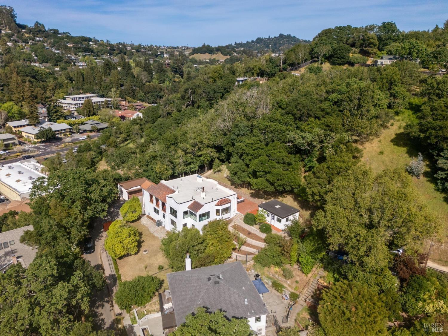 88 Lincoln Park